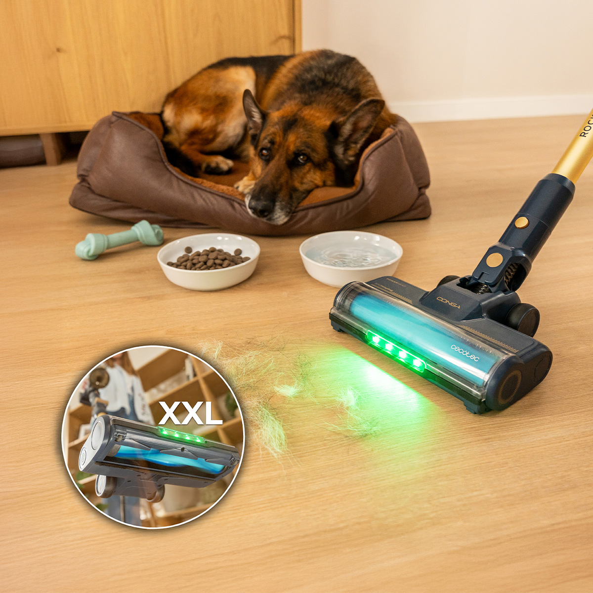 Una aspiradora sin cable con luz verde limpia pelo de mascota en suelo de madera.