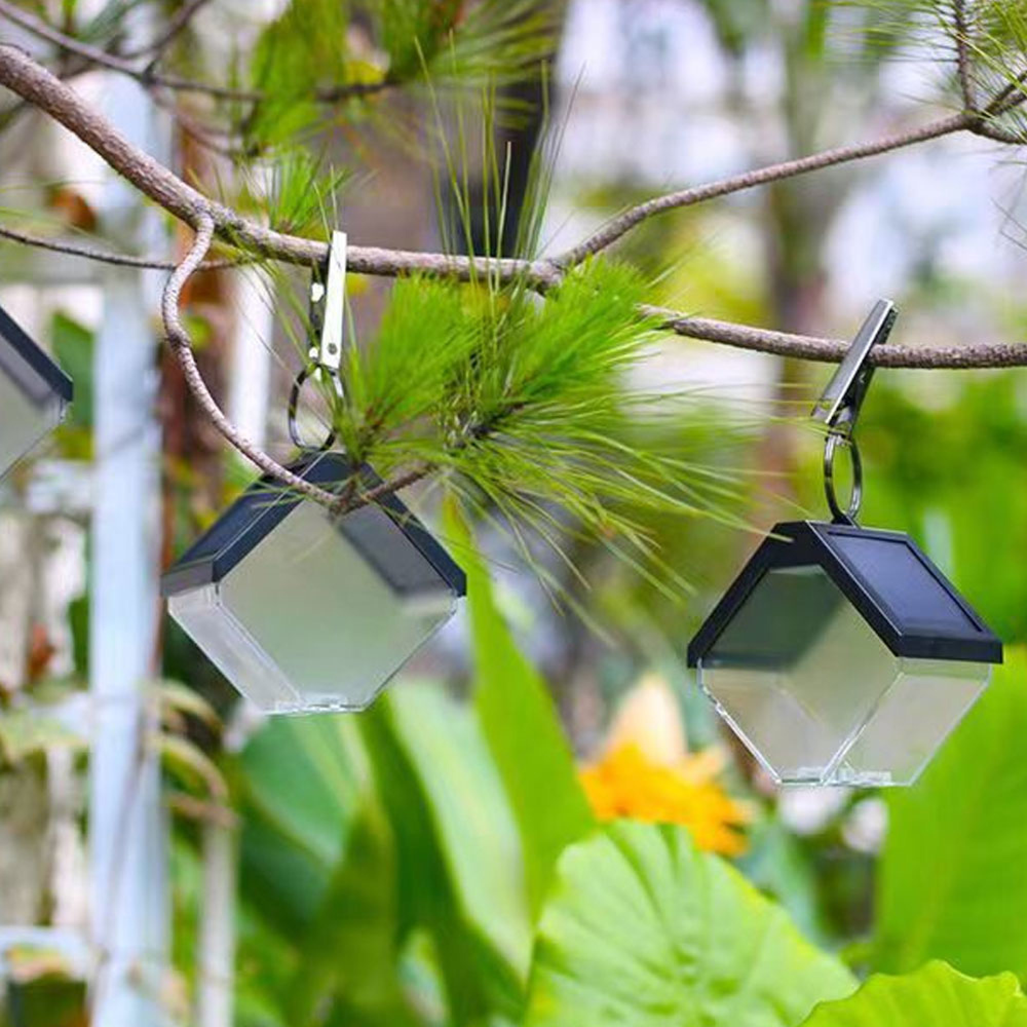 Zwei kleine, rautenförmige Solarlaternen hängen an Clips an einem Baumzweig vor grünem Laub.
