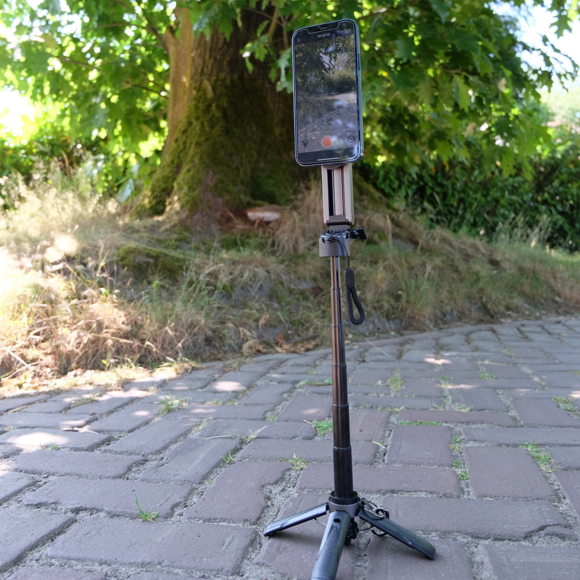 Ein Smartphone auf einem Selfie-Stick auf einem gepflasterten Weg, im Hintergrund ein Baum.