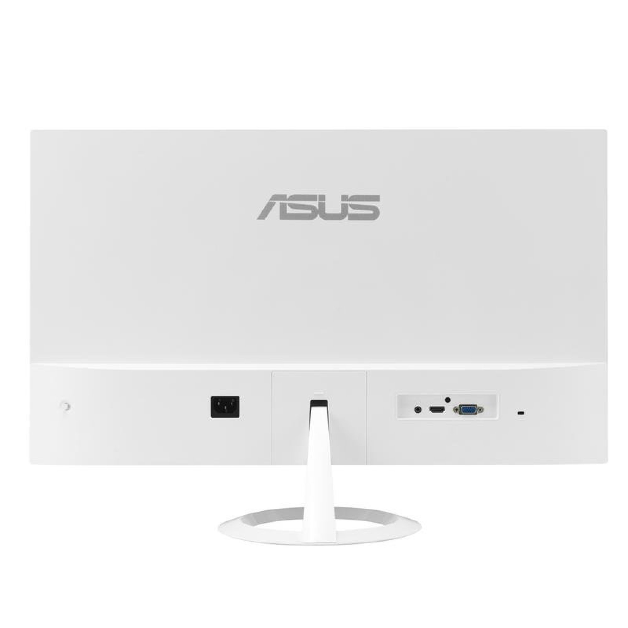 Vista posteriore di un monitor Asus bianco con supporto e porte.