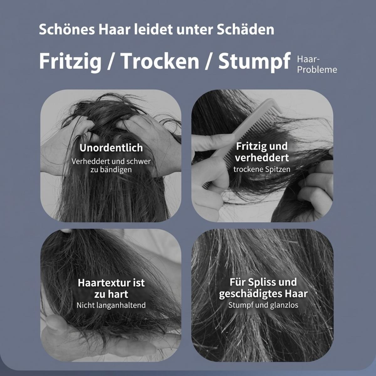 Vier Bilder zeigen Haarprobleme wie Frizz, Verhedderung, raue Textur und Spliss mit deutschen Texten.