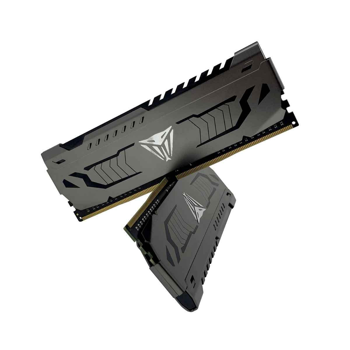Deux modules RAM noirs avec des dissipateurs gris foncé et un logo argenté sur fond blanc.