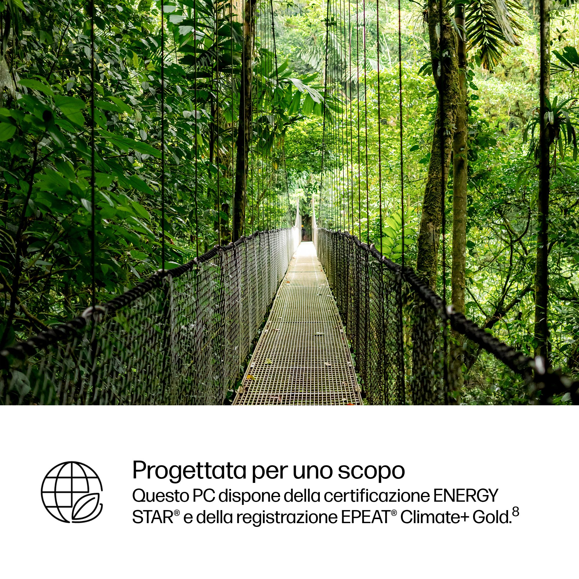 Un lungo ponte sospeso attraversa una fitta foresta pluviale verde con alberi alti e fitto fogliame.