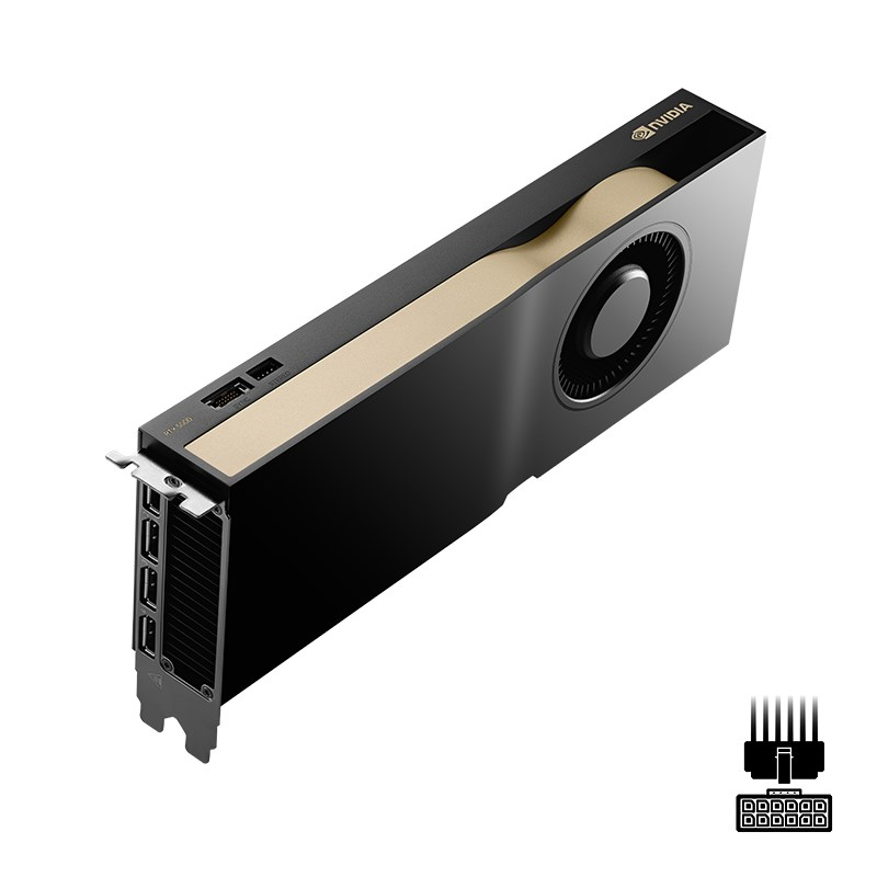 Eine schwarze und goldene NVIDIA Grafikkarte mit Gebläselüfter auf weißem Hintergrund.