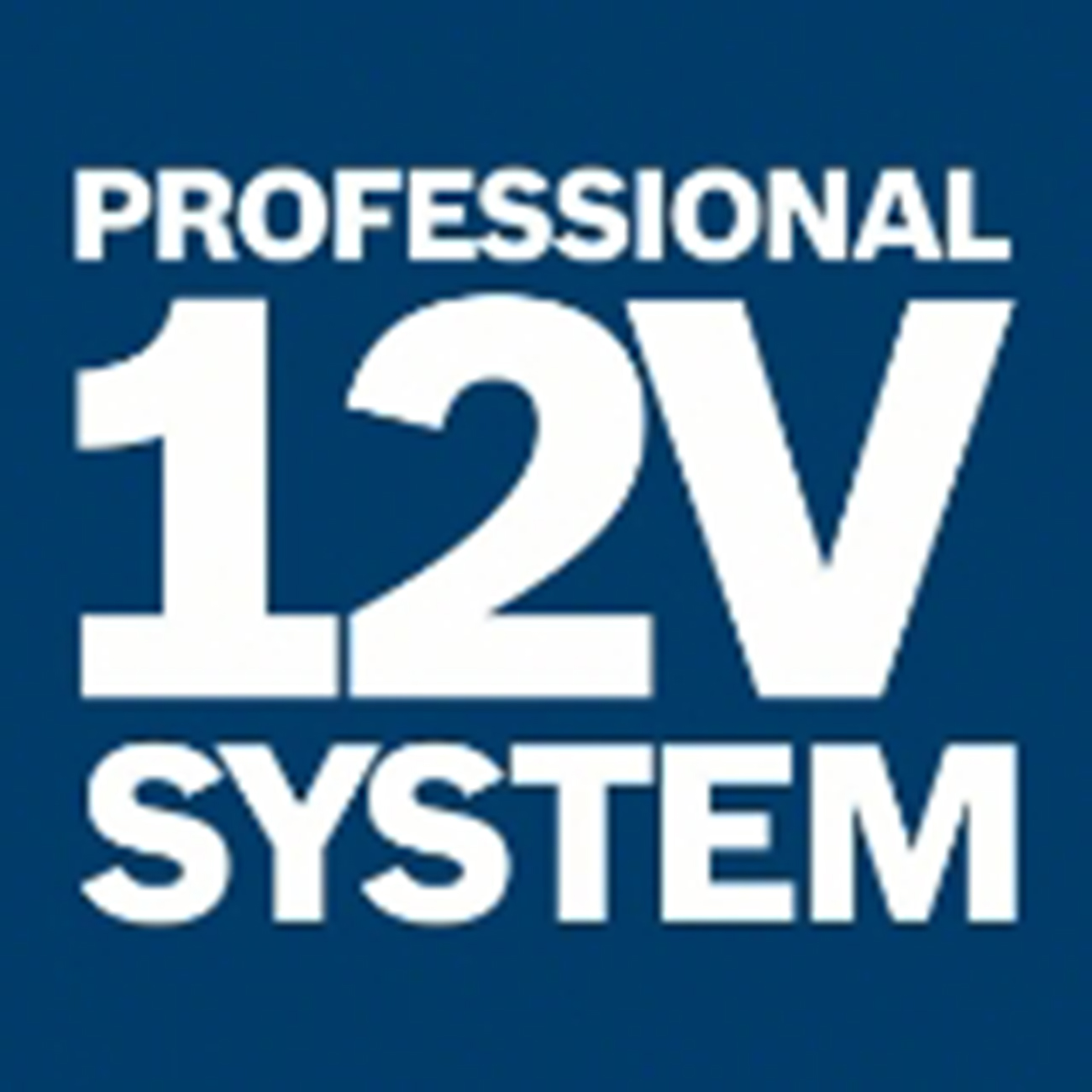 Beyaz "PROFESSIONAL 12V SYSTEM" yazılı mavi logo.