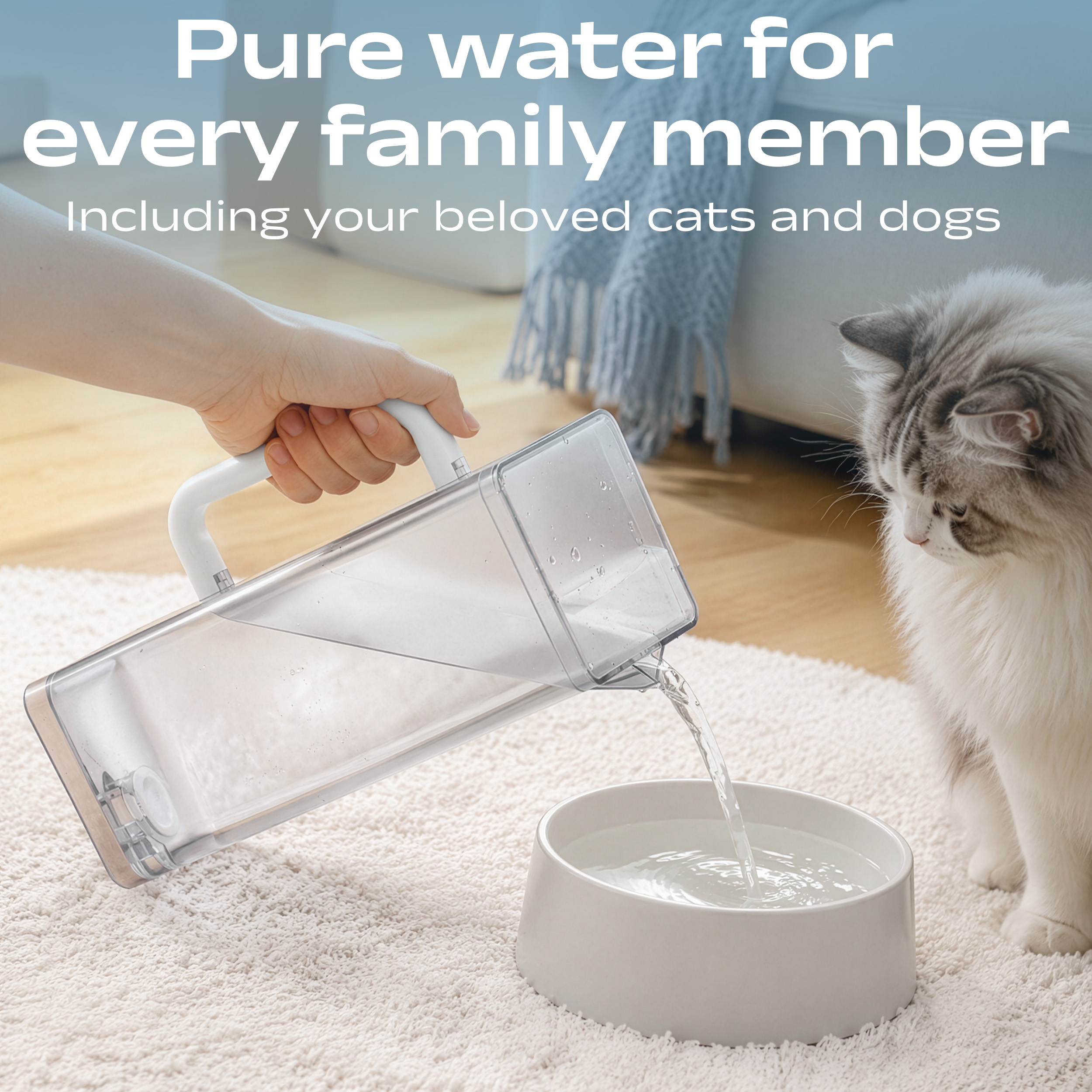 Una persona vierte agua de un recipiente transparente en un bol blanco mientras un gato peludo observa.