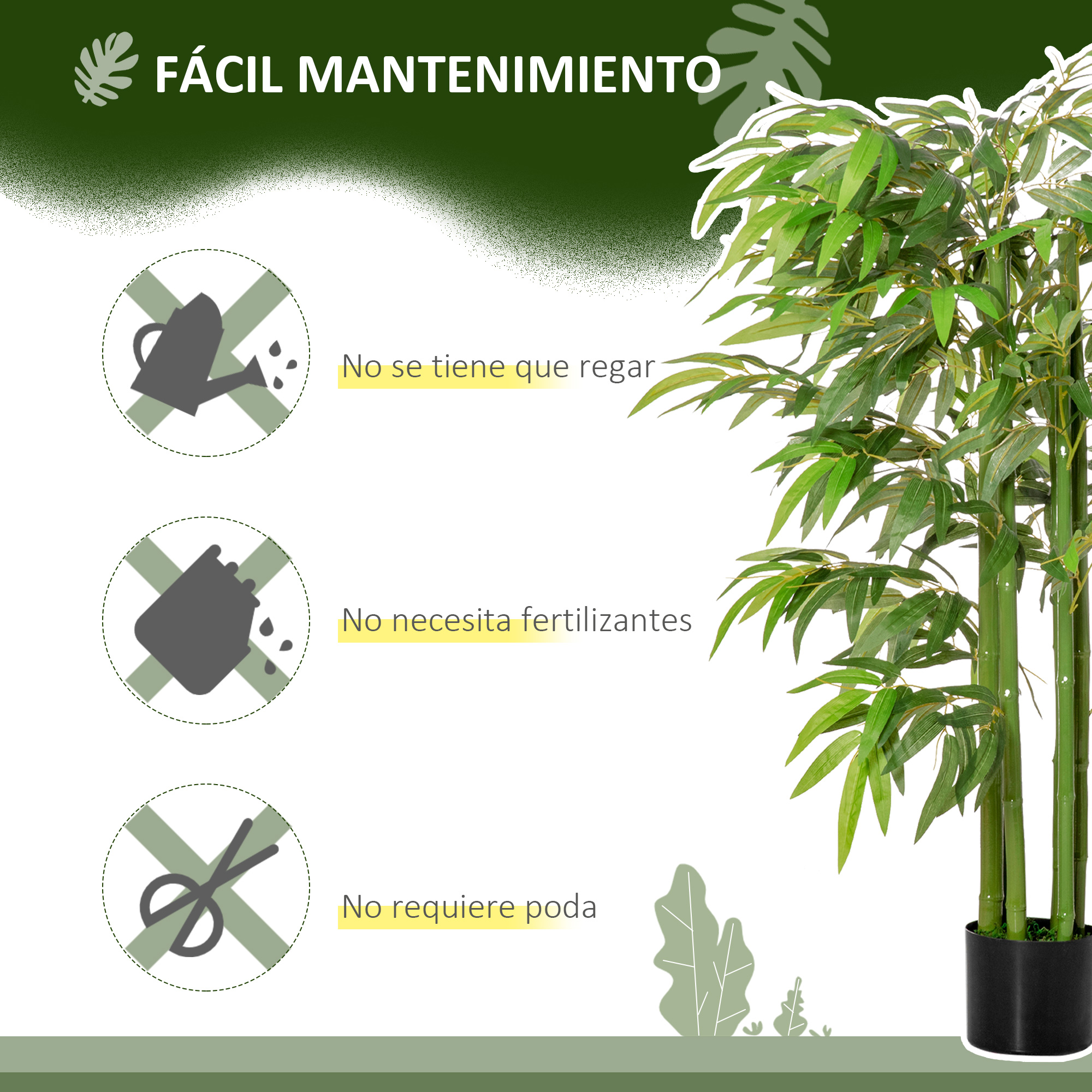 Bambú de fácil mantenimiento: sin riego, fertilizante ni poda.