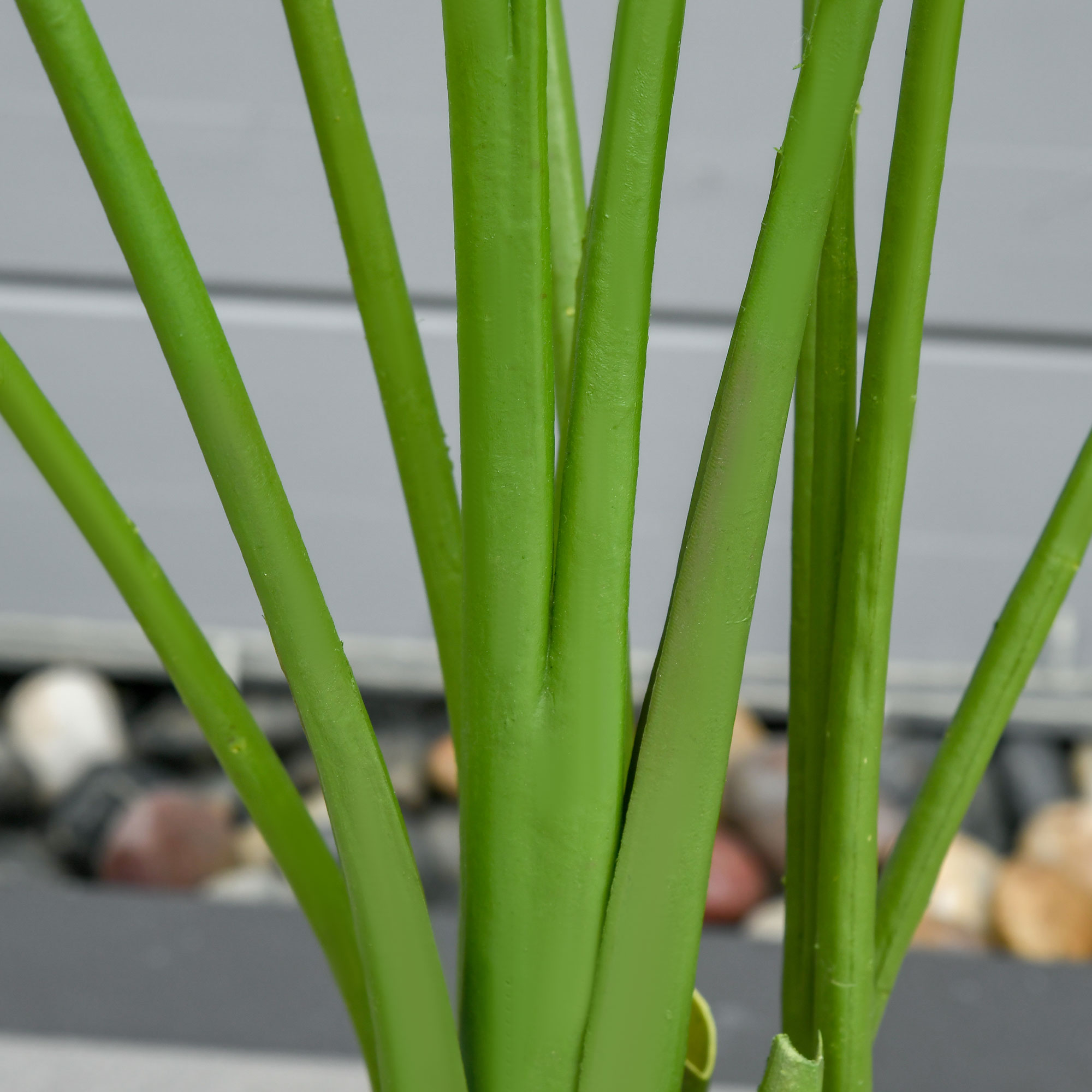 Primer plano de tallos de plantas verdes vibrantes con fondo de guijarros difuminados.