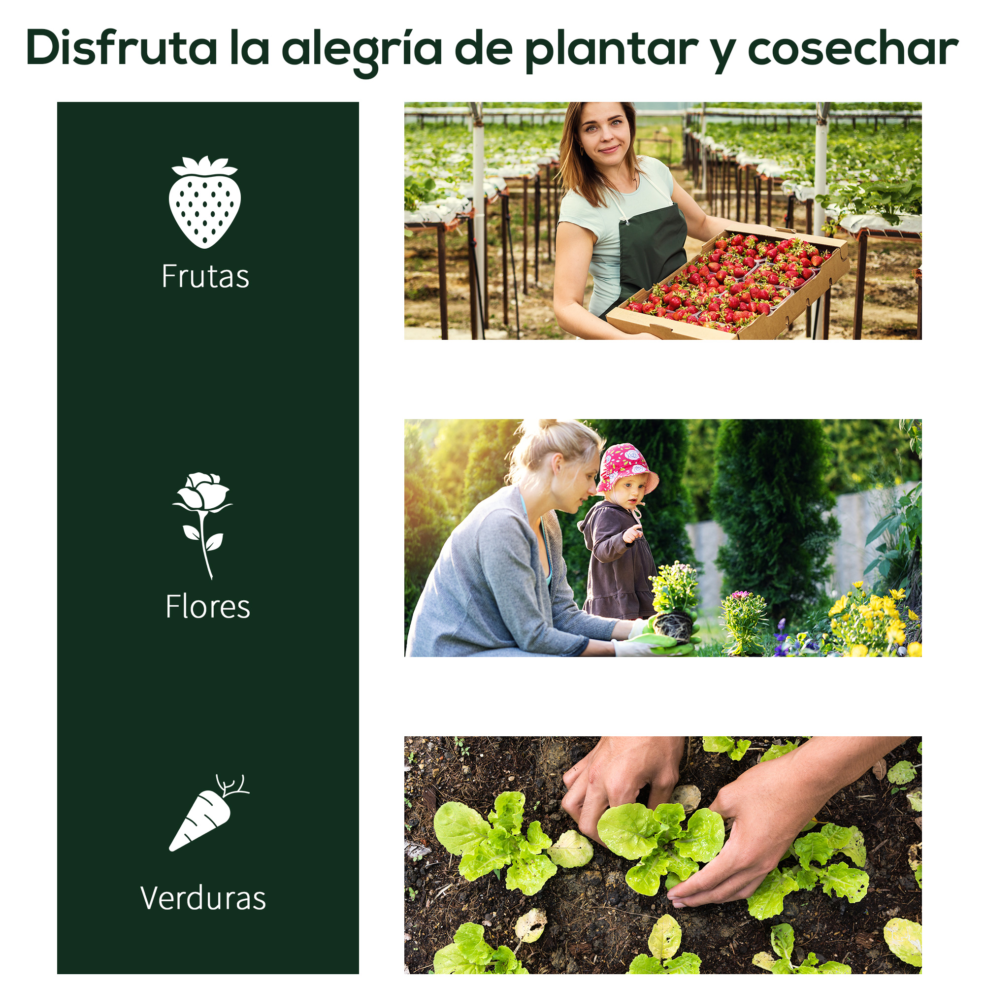 Un collage que muestra frutas, flores y verduras con iconos y fotos de personas jardinería.