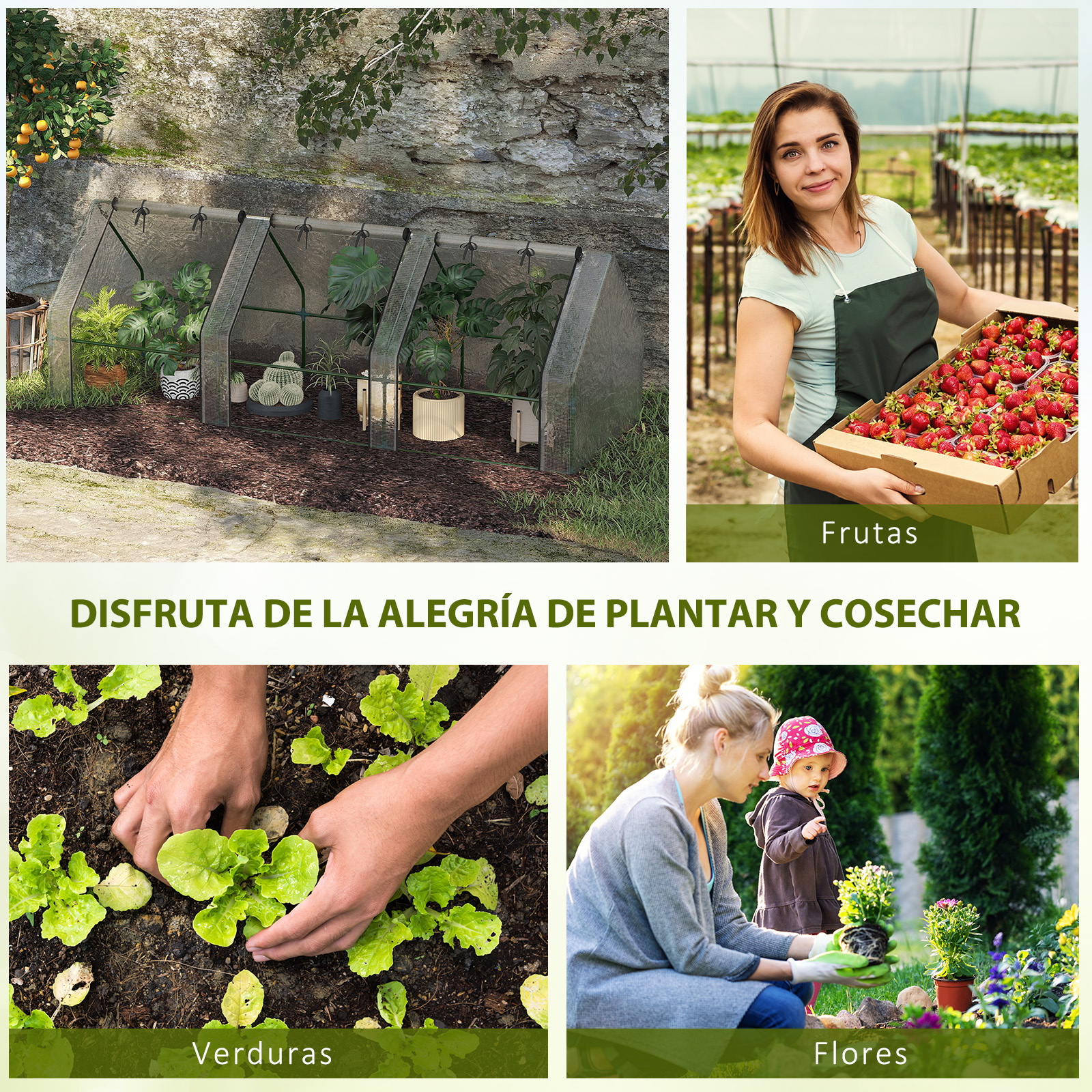 Collage que muestra pequeños invernaderos, una mujer con fresas, manos plantando lechuga y una mujer con un niño.