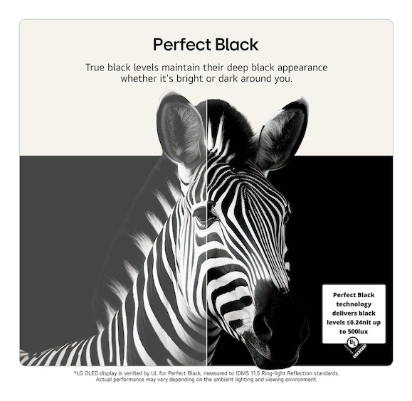 Una zebra su uno schermo illustra livelli di nero perfetti in ambienti luminosi e bui.
