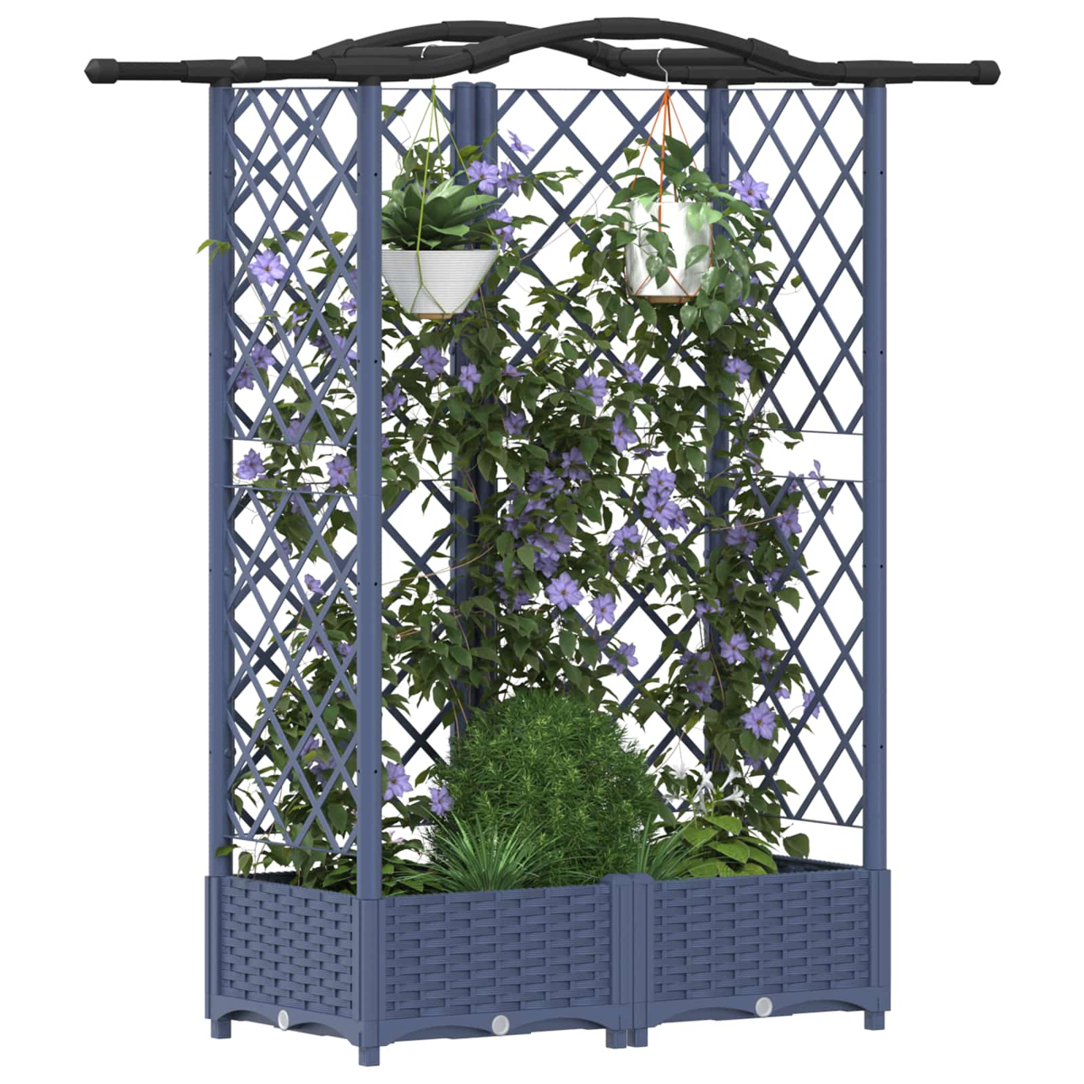 Ein blauer Pflanzkasten mit hohem Spalier hält Kletterpflanzen, lila Blumen und zwei Hängetöpfe vor weißem Hintergrund.