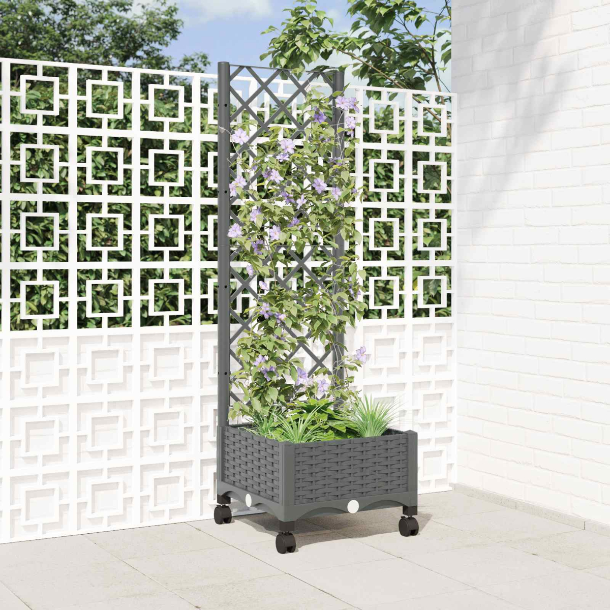 Ein dunkelgrauer Rattan-Pflanzkübel mit Rollen und Rankgitter stützt kletternde lila Blumen an einem weißen Zaun.