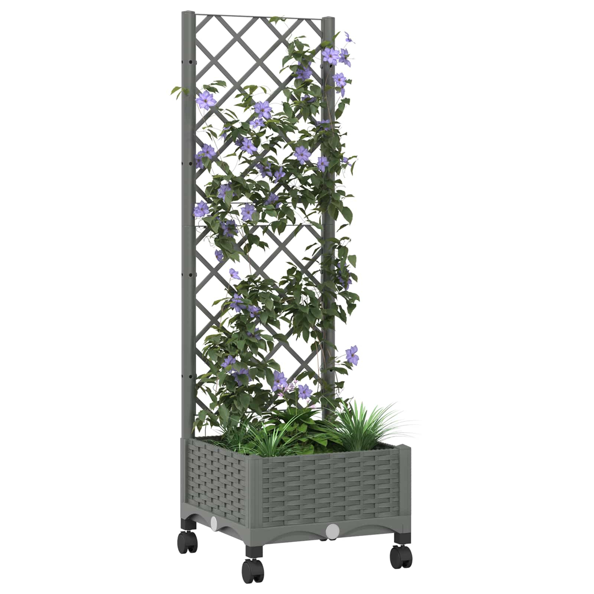 Grauer Pflanzkasten auf Rädern mit hohem Spalier, grünen Ranken und violetten Blüten.