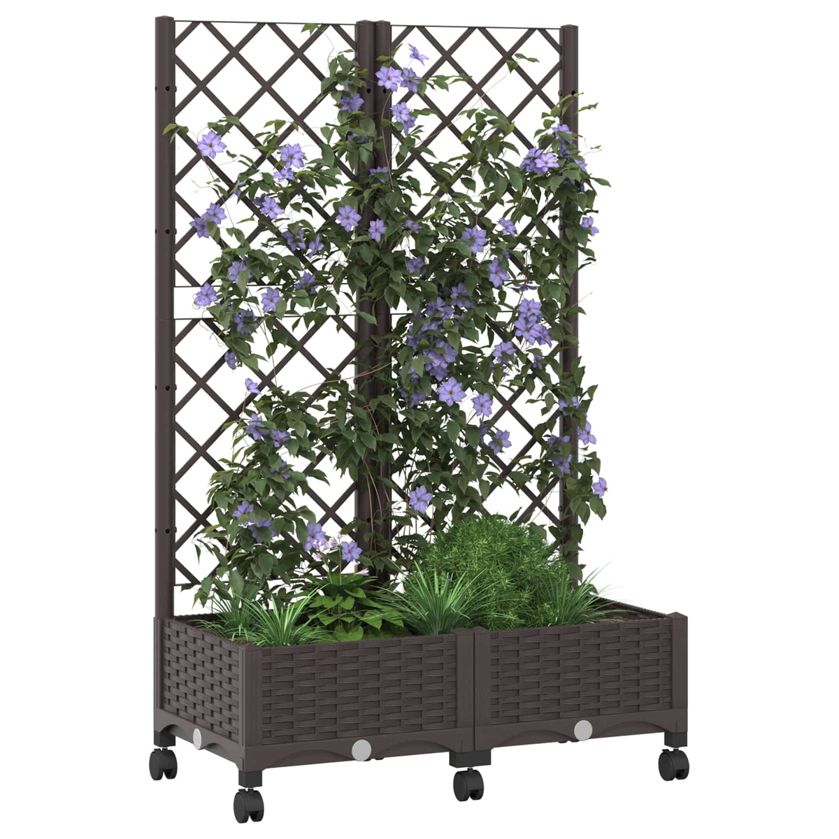 Brauner Blumenkasten mit Spalier auf Rädern, bewachsen mit grünen Pflanzen und violetten Blüten.