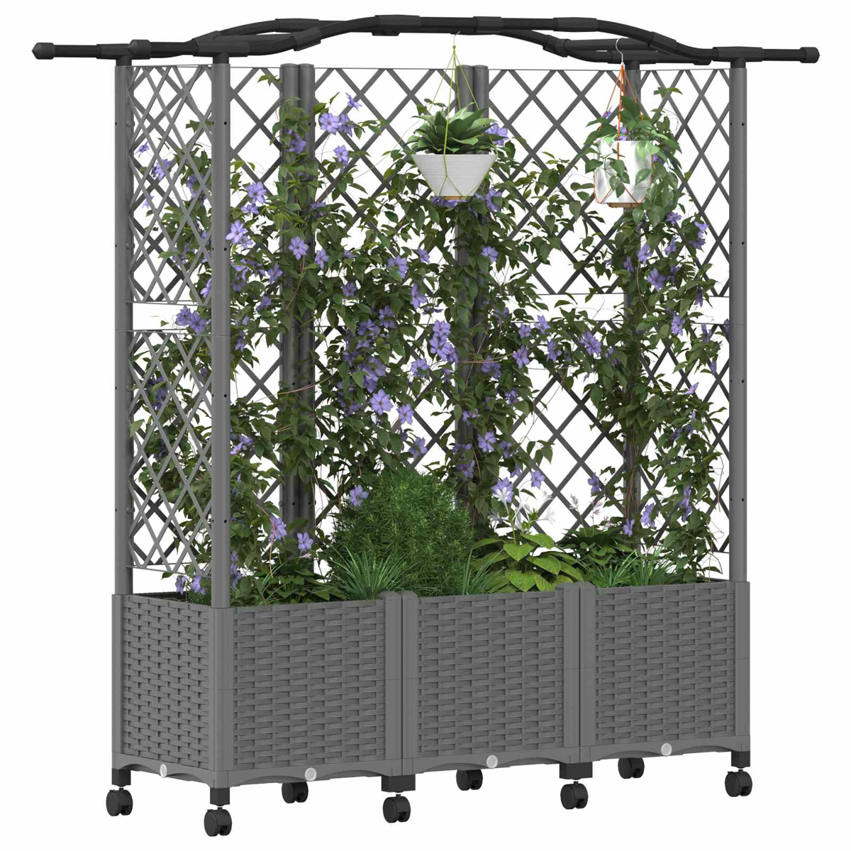 Grauer Rollkasten mit Rankgitter, Kletterpflanzen mit lila Blüten und Hängestöpfen.