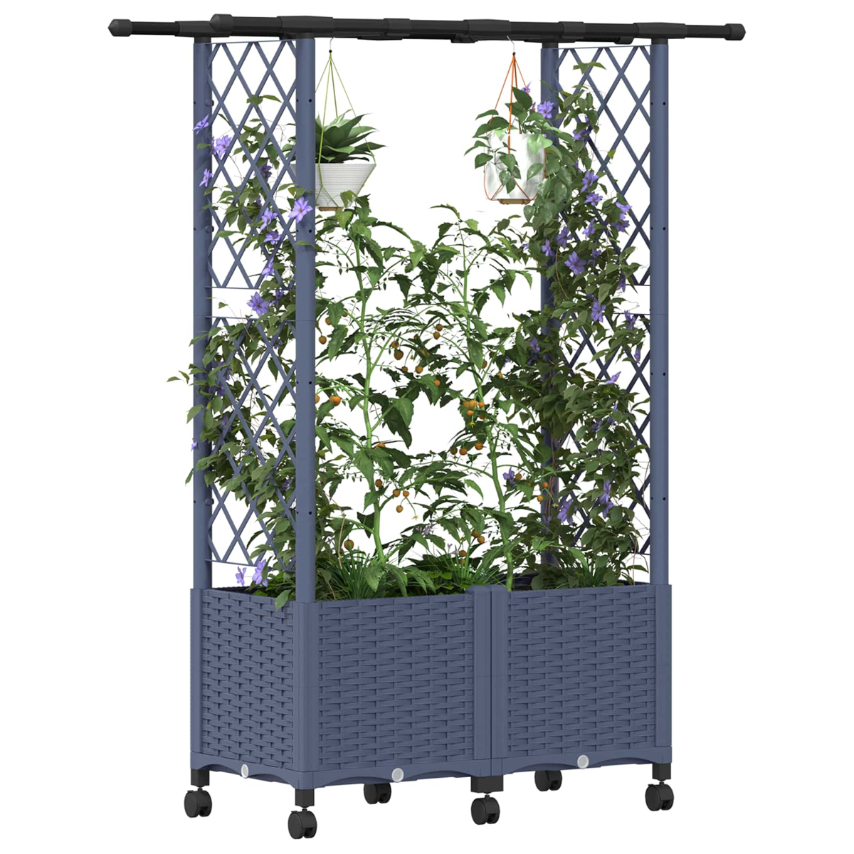 Ein dunkelgrauer Blumenkasten auf Rädern mit Rankgitter, Kletterpflanzen mit violetten Blüten, Tomaten und H Töpfen.