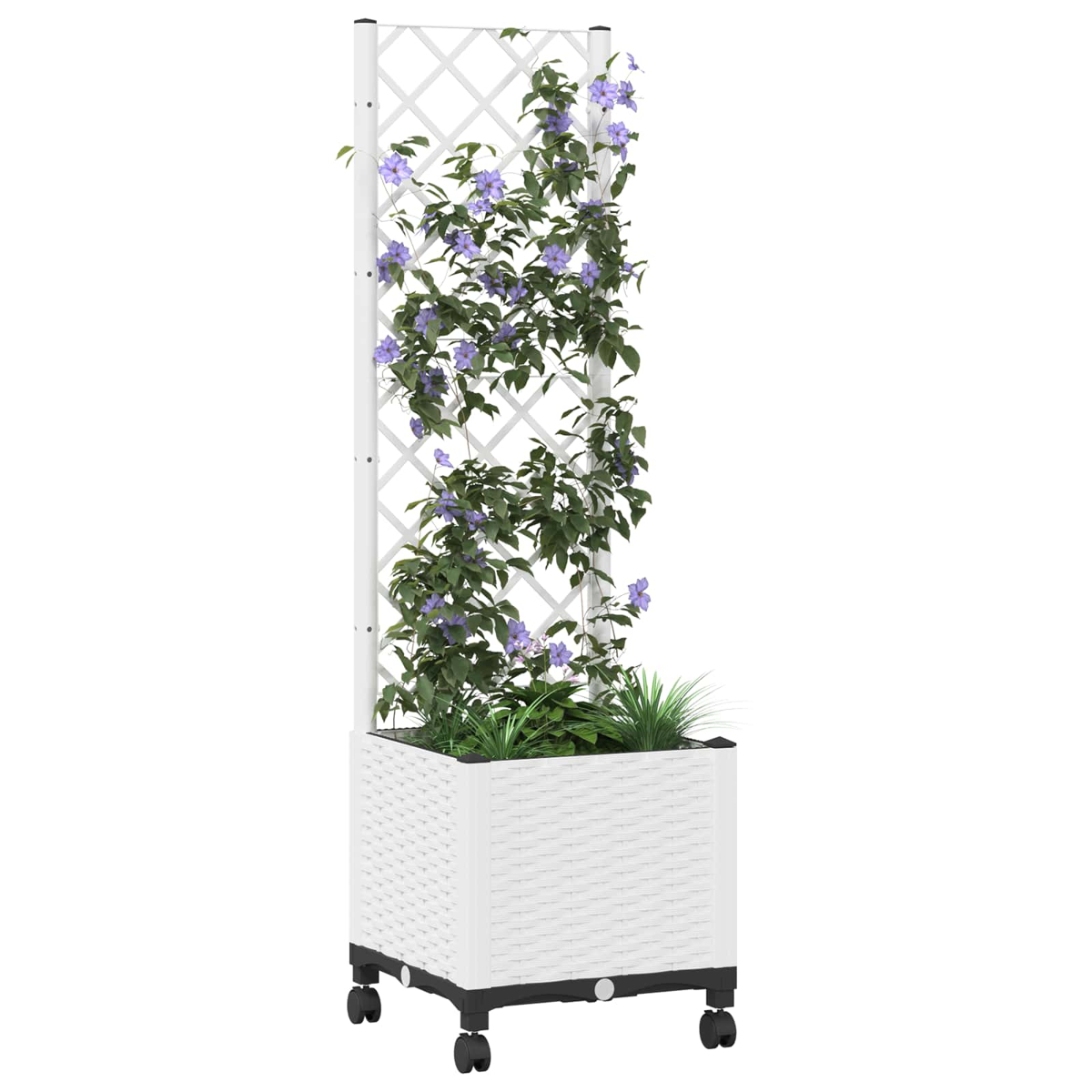 Ein weißer Pflanzkübel mit Rollen und einem hohen Spalier, an dem grüne Kletterpflanzen mit violetten Blüten wachsen.