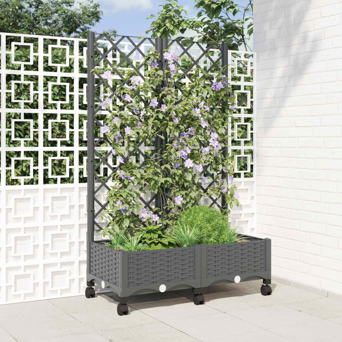 Ein grauer Polyrattan-Pflanzkübel mit Rollen und hohem Spalier, bewachsen mit lila Waldreben und grünem Laub im Freien.