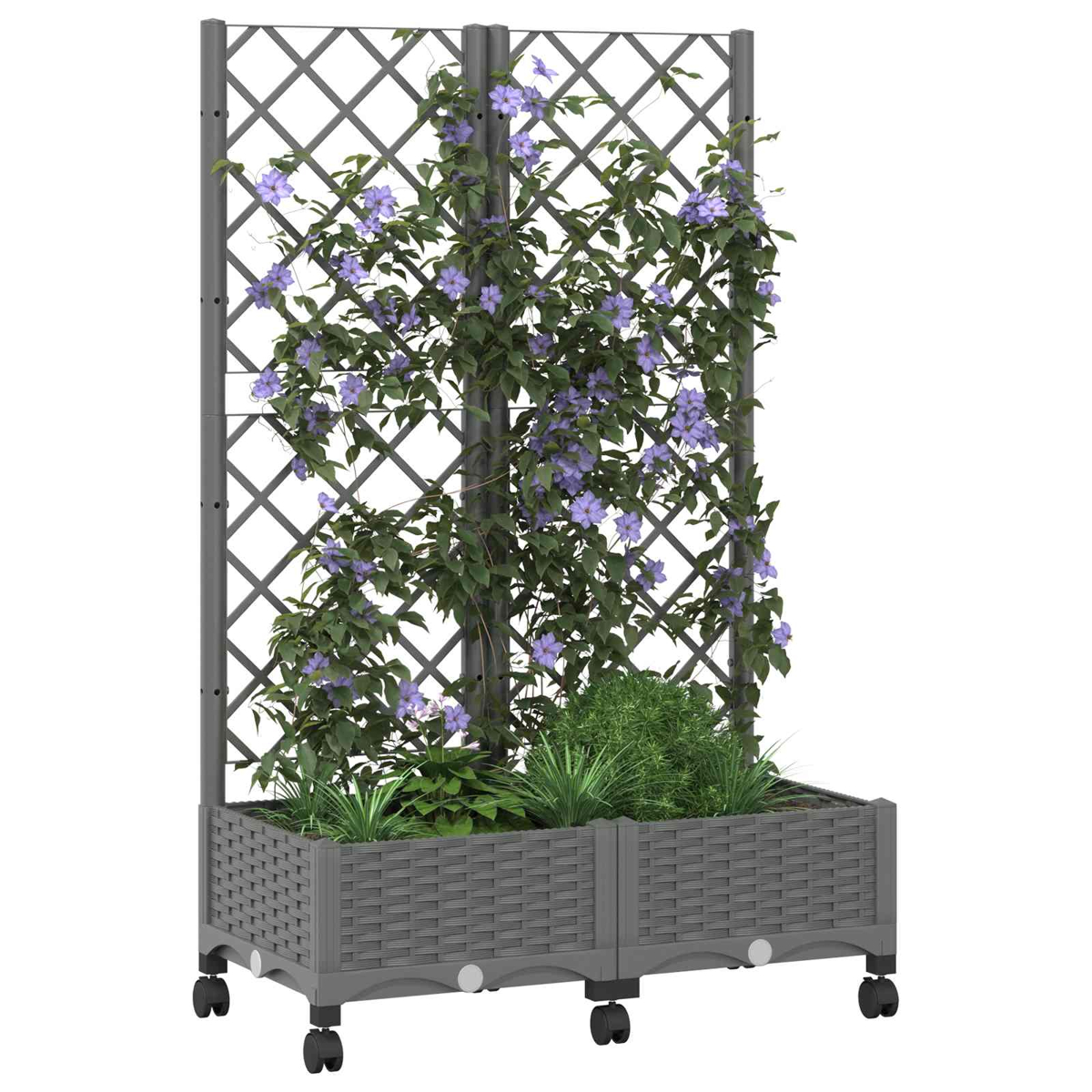 Grauer Pflanzkübel mit Spalier auf Rollen, bewachsen mit grünen Pflanzen und violetten Blüten.