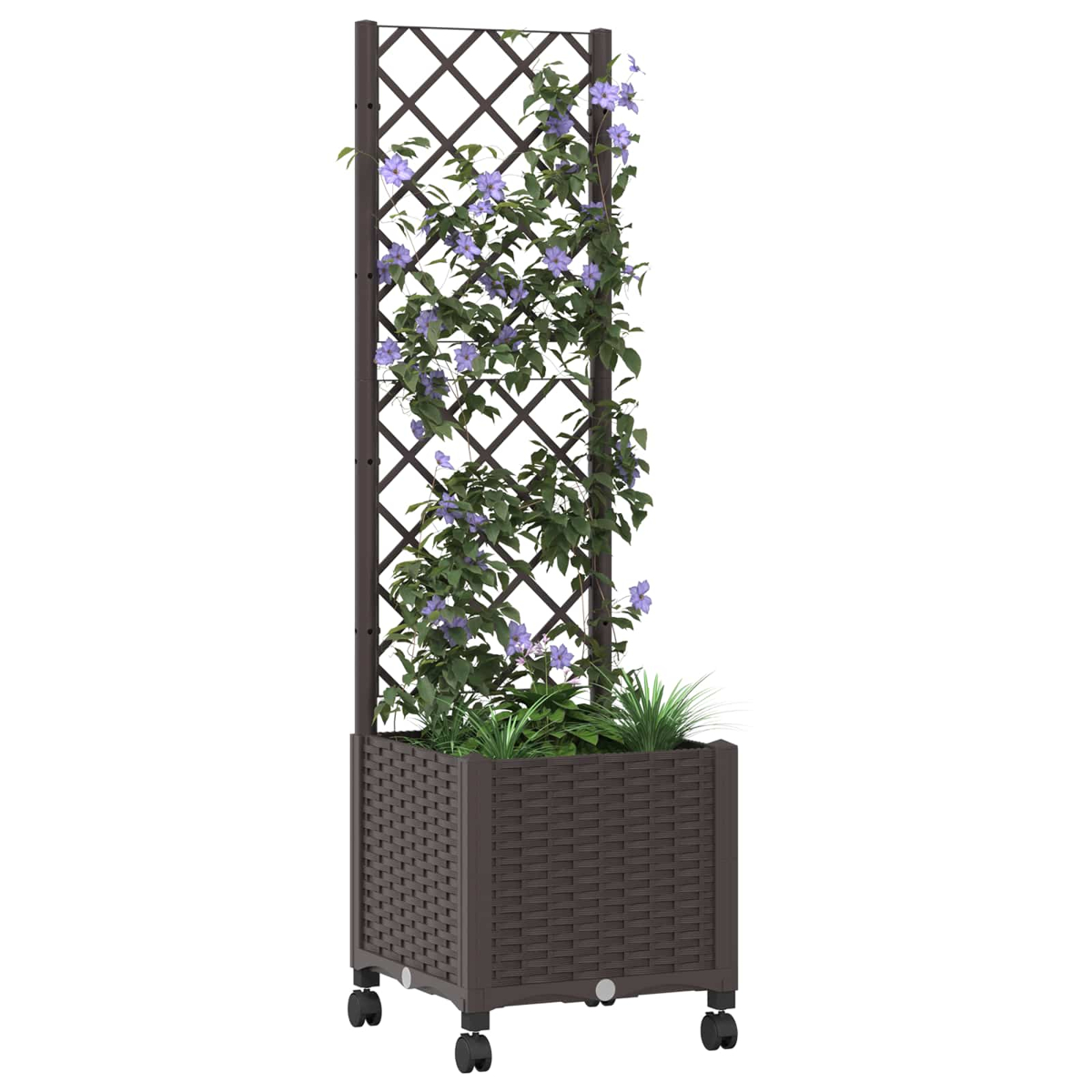 Brauner Pflanzkübel mit Rollen und Spalier, berankt mit grünen Pflanzen und lila Blumen.
