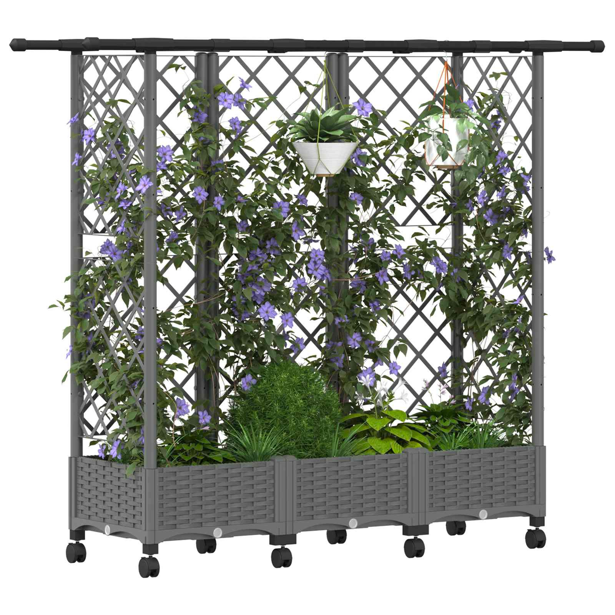 Graues Spalier auf Rädern mit Kletterpflanzen, violetten Blüten und hängenden Töpfen.