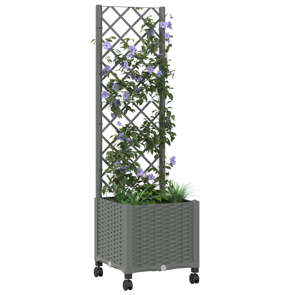 Grauer Pflanzkübel auf Rollen mit integriertem Rankgitter, bewachsen mit Kletterpflanzen und violetten Blüten.