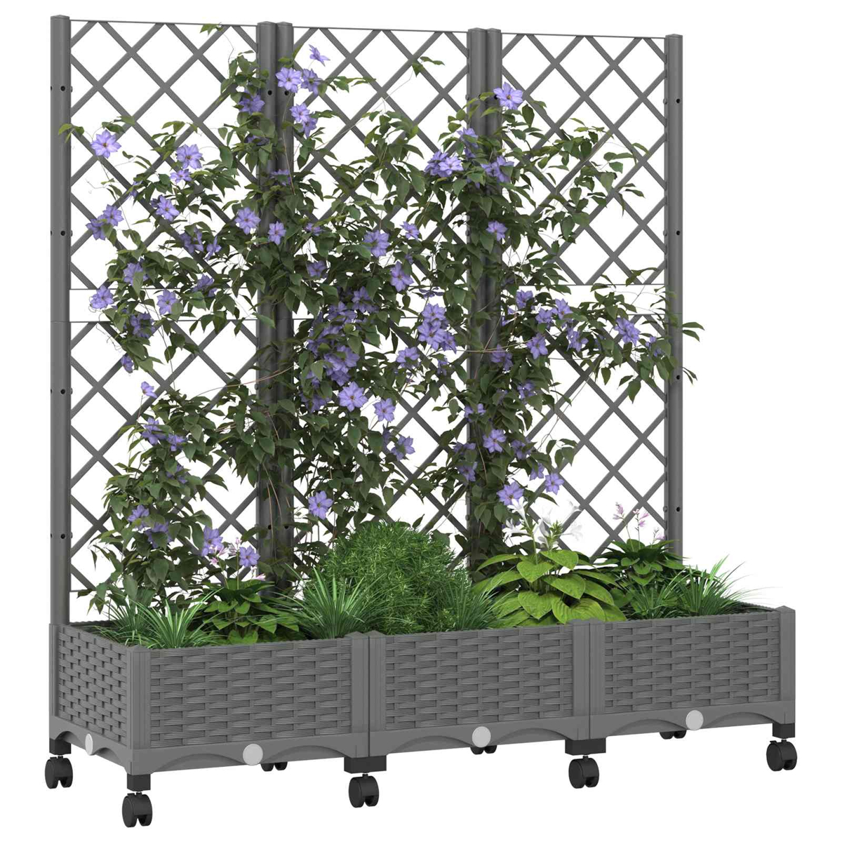 Grauer Pflanzkübel mit Spalier auf Rollen, bewachsen mit grünen Pflanzen und violetten Blüten.