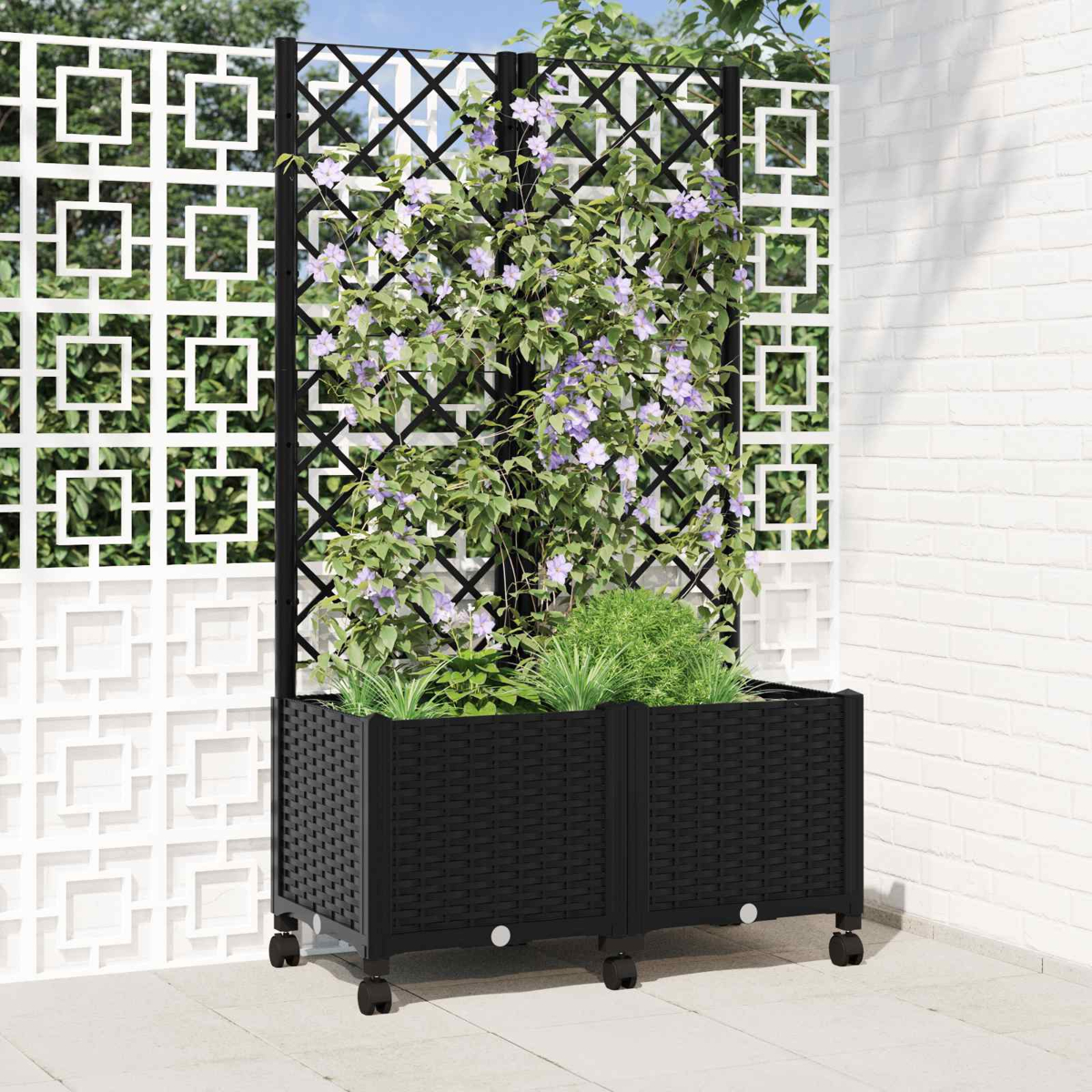 Ein schwarzer Pflanzkübel mit Rollen und Spalier, bepflanzt mit grünen Blättern und hellvioletten Blüten vor weißer Wand.