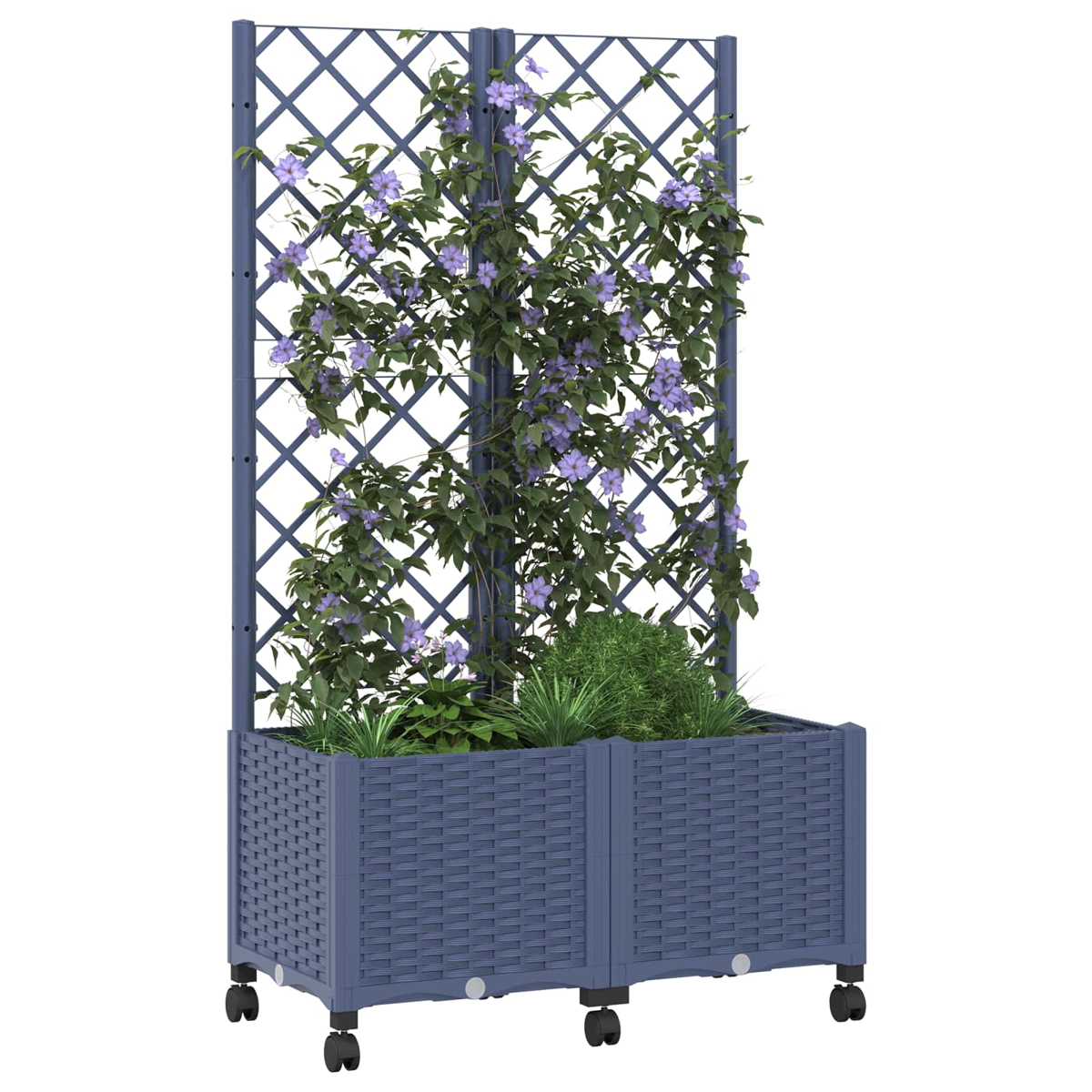 Ein blauer Pflanzkübel mit Rollen und einem Spalier, bewachsen mit grünen Pflanzen und violetten Blüten.