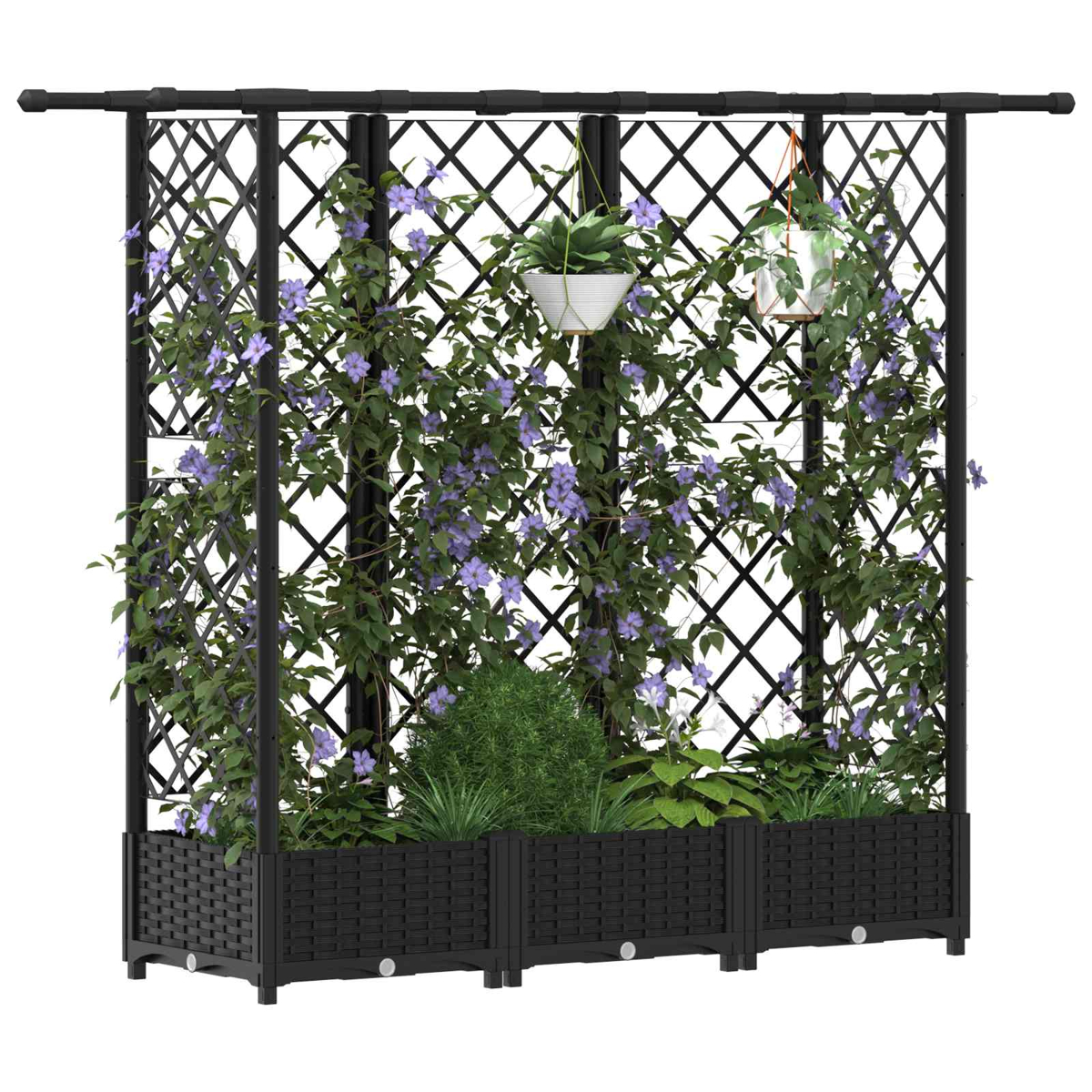 Schwarzes Rankgitter mit Pflanzkübeln, üppigen grünen Kletterpflanzen, blauen Blüten und zwei hängenden Töpfen.