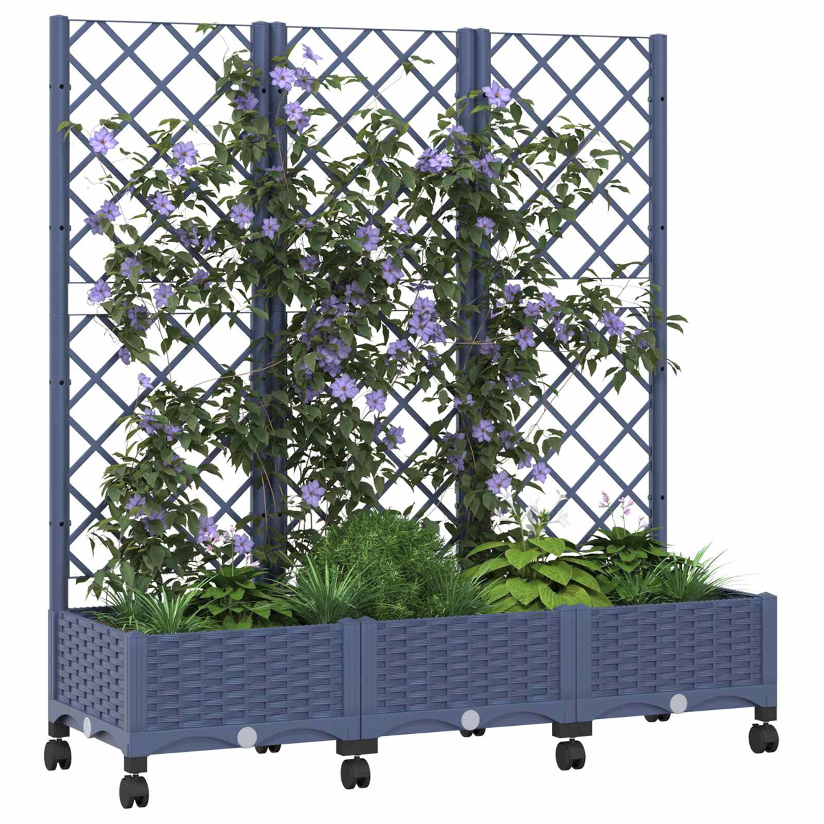 Ein blauer Rollkasten mit hohem Spalier, Kletterpflanzen mit lila Blüten und grünen Pflanzen.