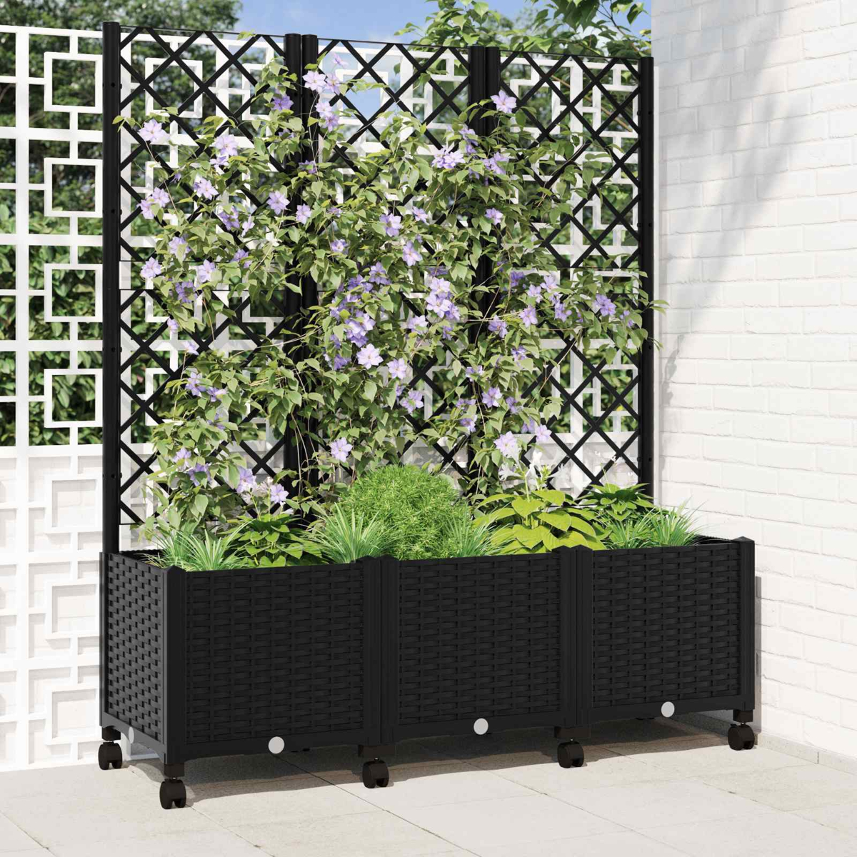Ein schwarzer Rattan-Pflanzkasten auf Rädern mit einem hohen schwarzen Spalier und einer Kletterpflanze mit lila Blüten.