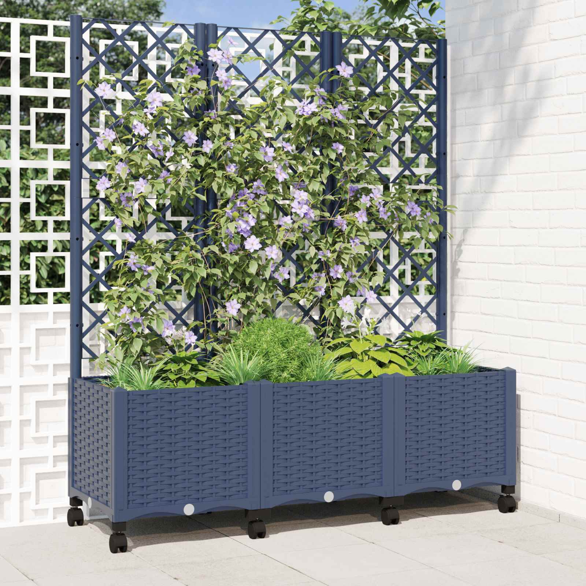 Ein blauer geflochtener Pflanzkasten mit Rädern enthält grüne Pflanzen und kletternde lila Blumen an einem dunklen Rankgitter.