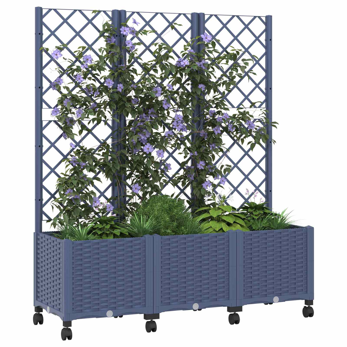 Ein blauer Pflanzkübel mit Rollen und Gitter rankenden Reben und violetten Blüten.