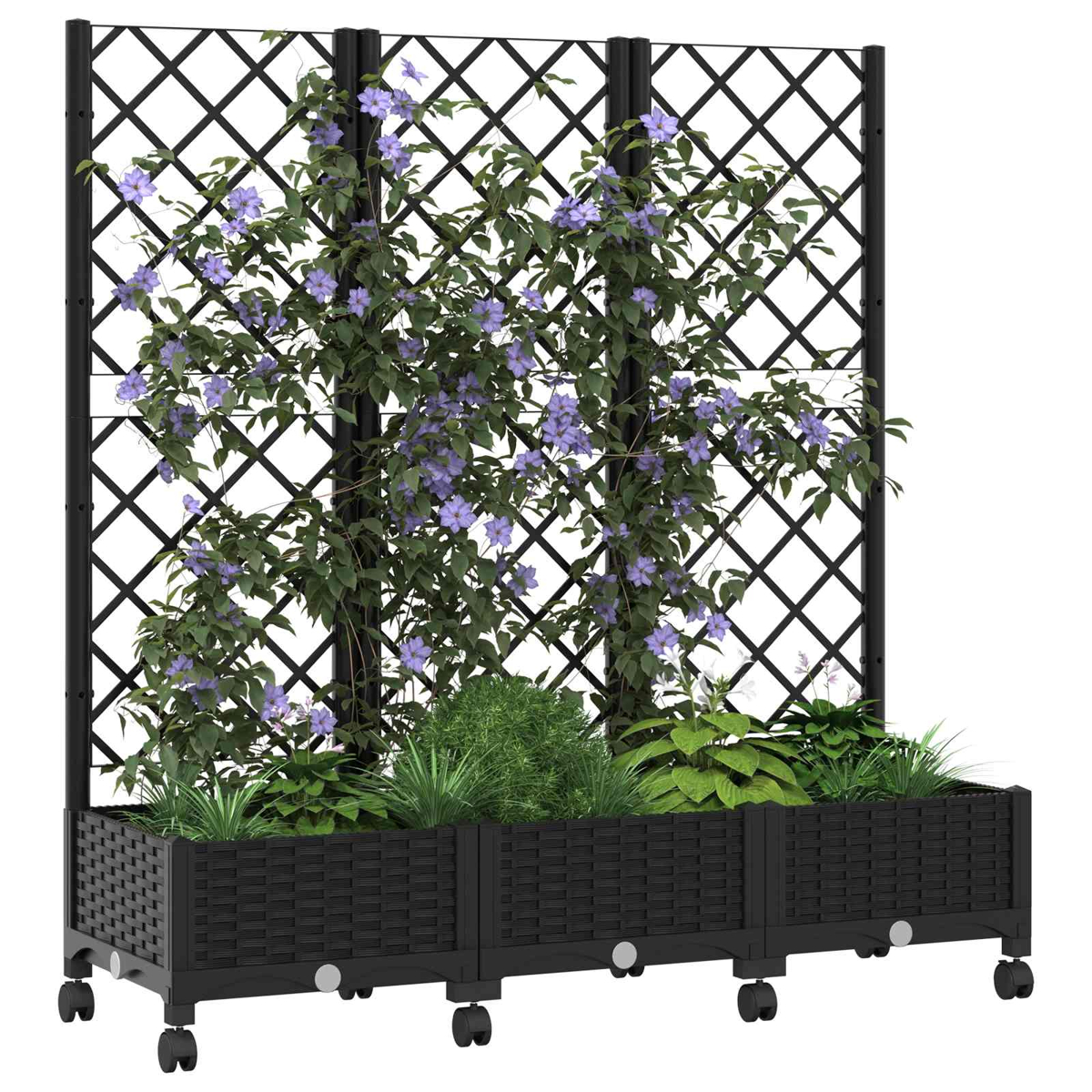 Ein schwarzer Rattan-Pflanzkübel auf Rädern mit hohem Spalier, bewachsen mit grünen Reben und lila Blüten.