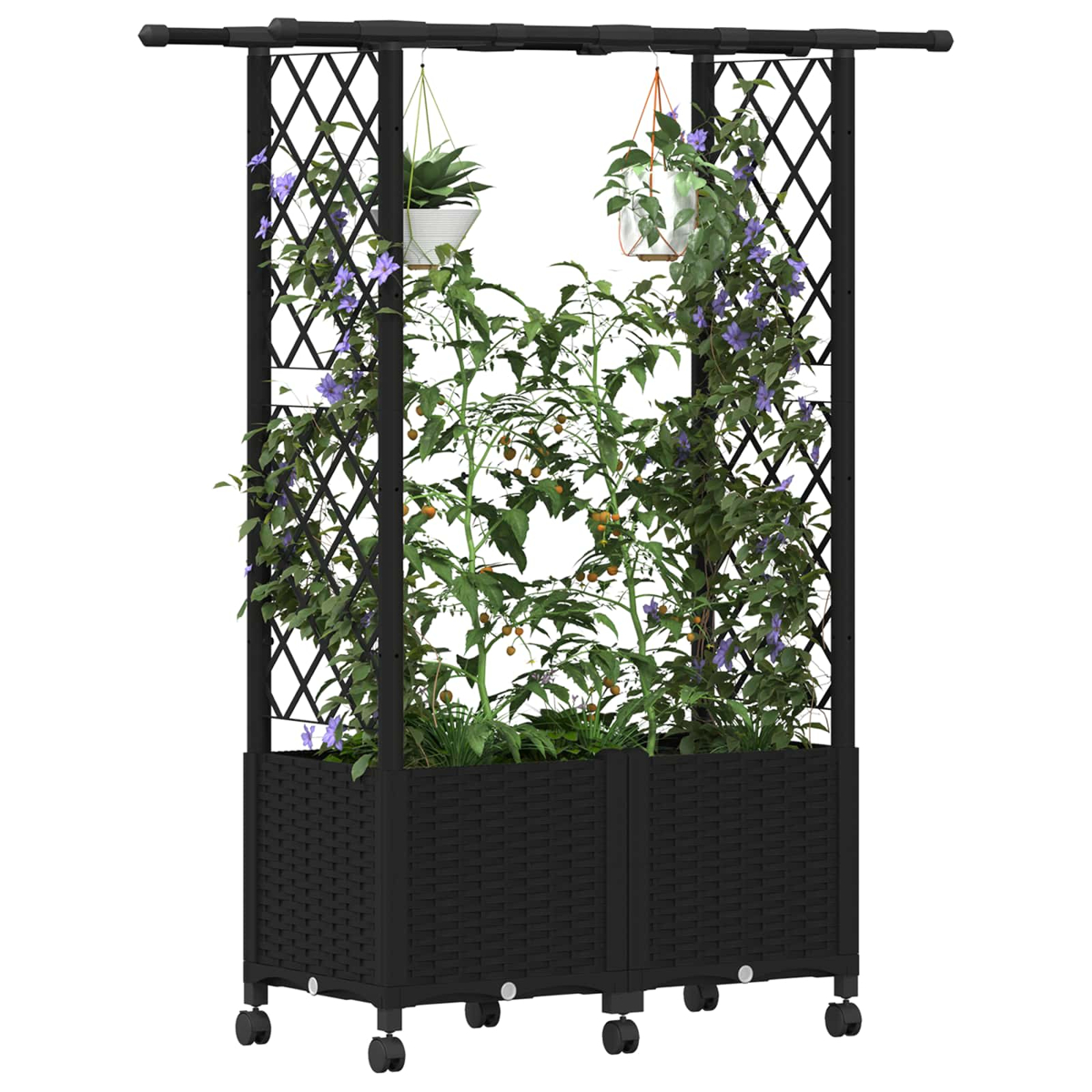 Ein schwarzer Pflanzkasten mit Rädern, Rankgitter und Kletterpflanzen mit violetten Blüten und Hängetöpfen.