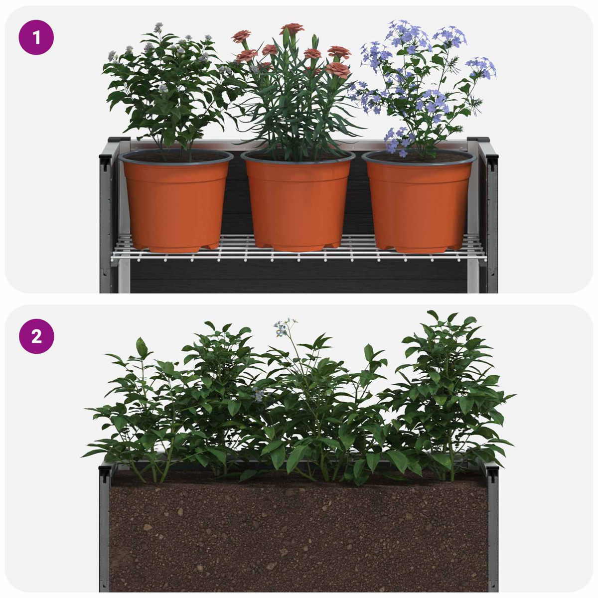 Zwei Gartenbeete: Bild 1 zeigt drei Pflanztöpfe mit Blumen im Regal, Bild 2 zeigt grüne Pflanzen direkt in der Erde.