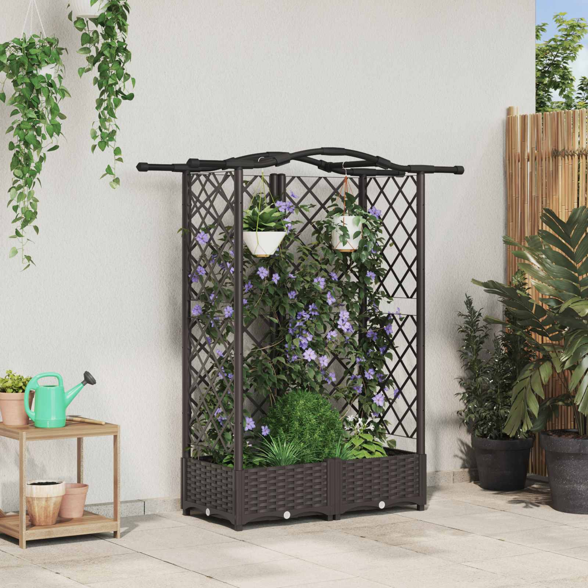 Ein schwarzes Spalier mit Kletterpflanzen und violetten Blüten in einem rötlichen Kasten vor einer Wand.