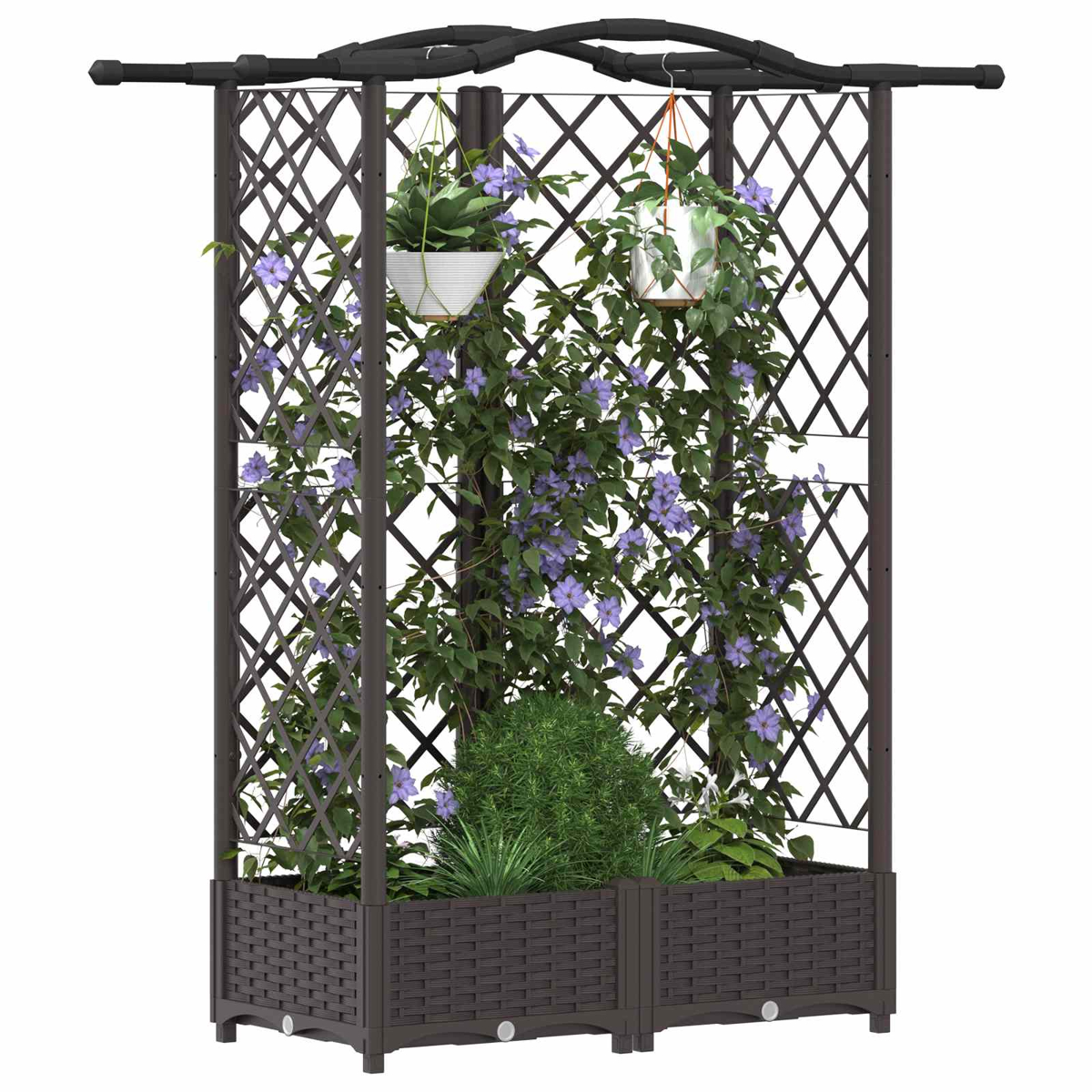 Ein braunes Rankgitter mit Hochbeet, bewachsen mit Kletterpflanzen und violetten Blüten, sowie zwei Hängepflanzen.
