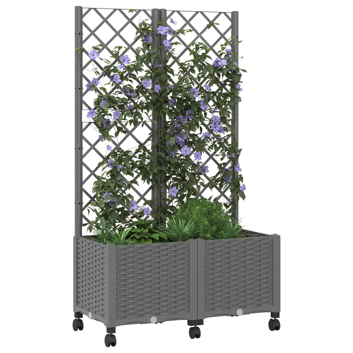 Grauer Rattan-Pflanzkübel mit Rollen und einem hohen Spalier, das mit Kletterpflanzen und violetten Blüten berankt ist.