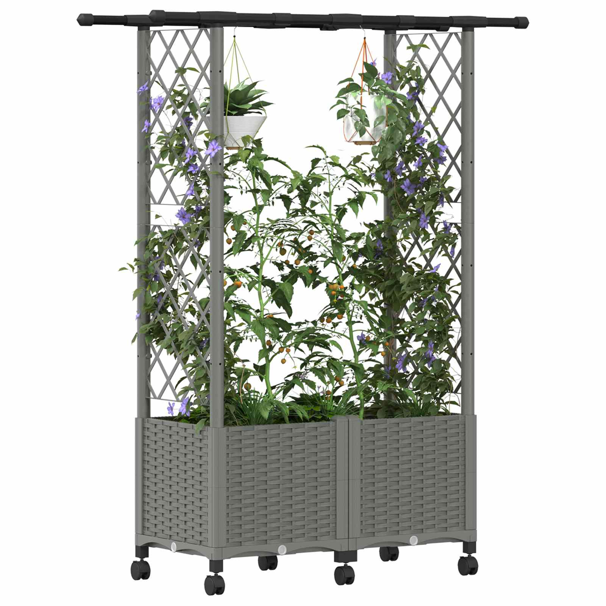 Grauer Pflanzkübel mit Spalier auf Rollen, bewachsen mit grünen Pflanzen und violetten Blüten.