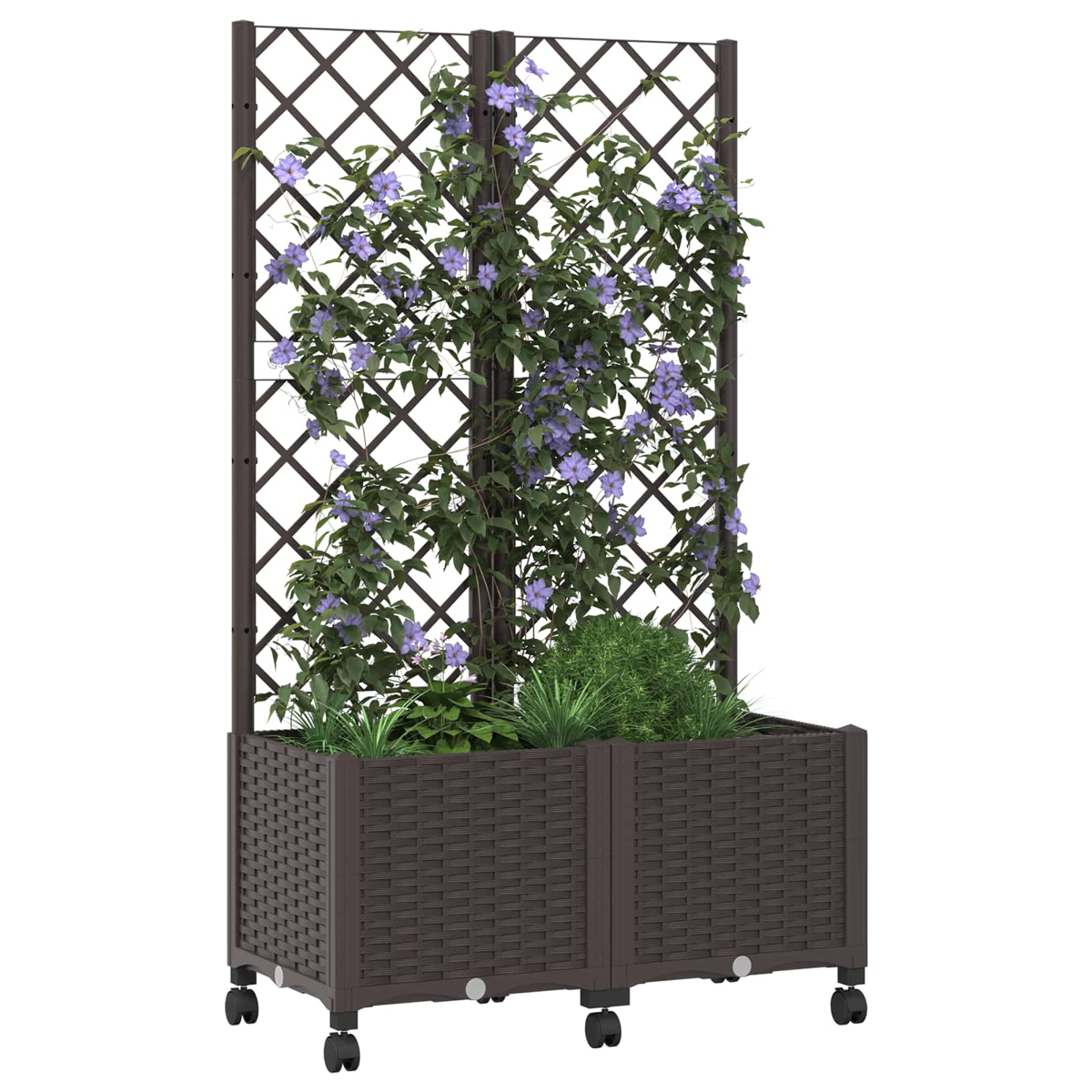 Brauner Pflanzkübel mit Rollen und Spalier, bewachsen mit grünen Pflanzen und violetten Blüten.