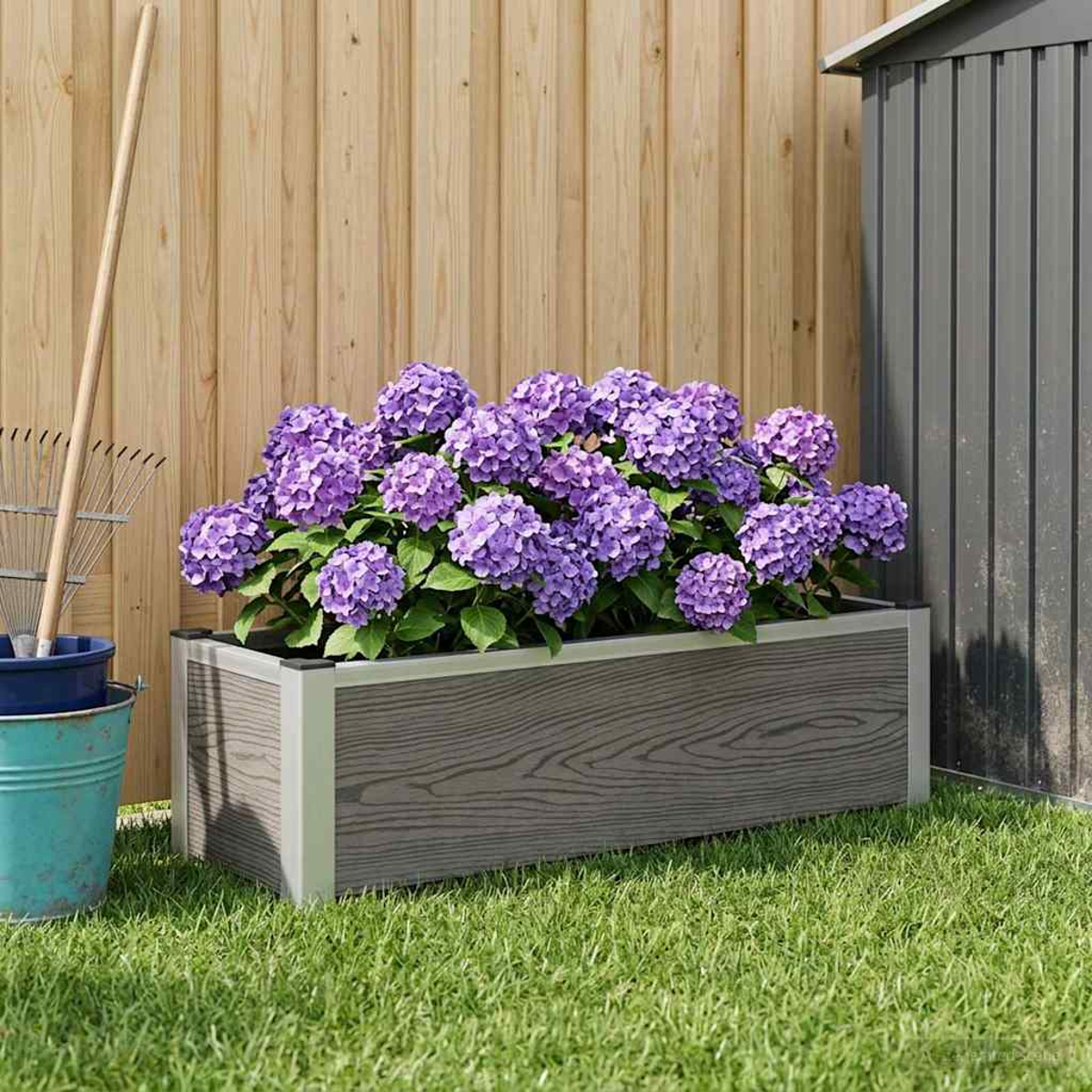 Lila Hortensien blühen in einem grauen Pflanzkübel im Garten, daneben ein Rasenmäher und ein Schuppen.