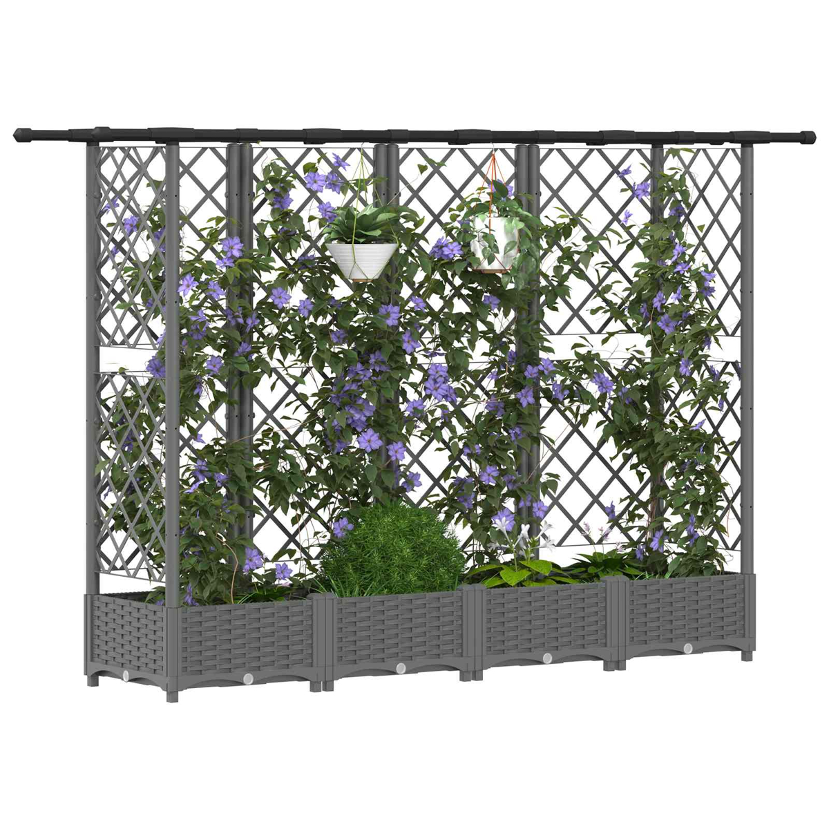 Ein graues Rankgitter mit Pflanzkasten, bewachsen mit grünen Pflanzen und violetten Blüten.