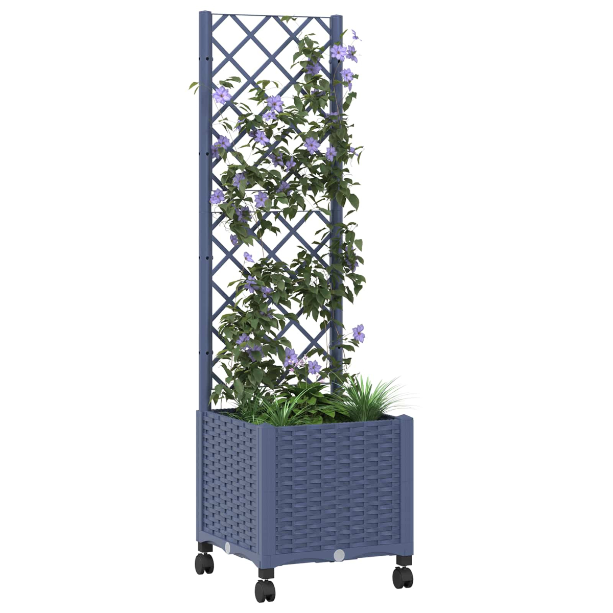 Ein blauer geflochtener Pflanzkasten mit Rädern hält ein hohes Rankgitter mit Kletterpflanzen und lila Blüten.