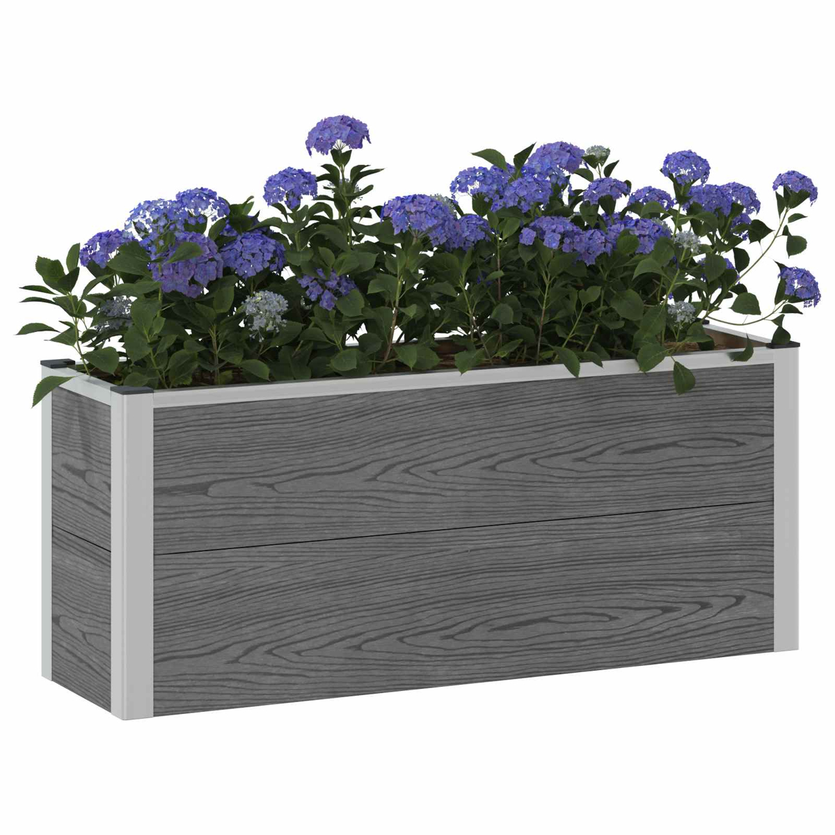 Graues Hochbeet aus Holz mit blauen Hortensien auf weißem Hintergrund.
