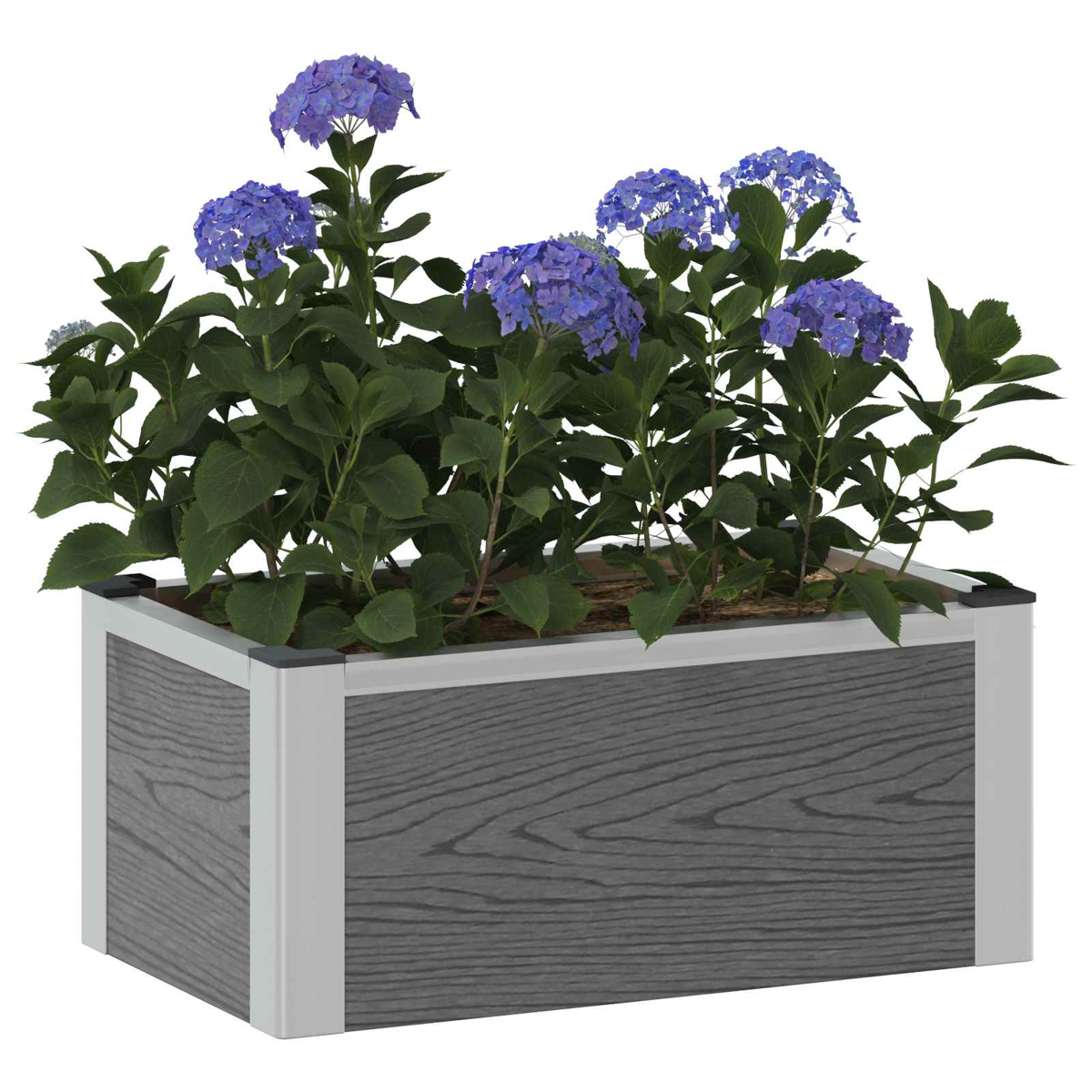 Ein rechteckiger, grauer Holzpflanzkübel mit frischen blauen Hortensien und grünem Laub.