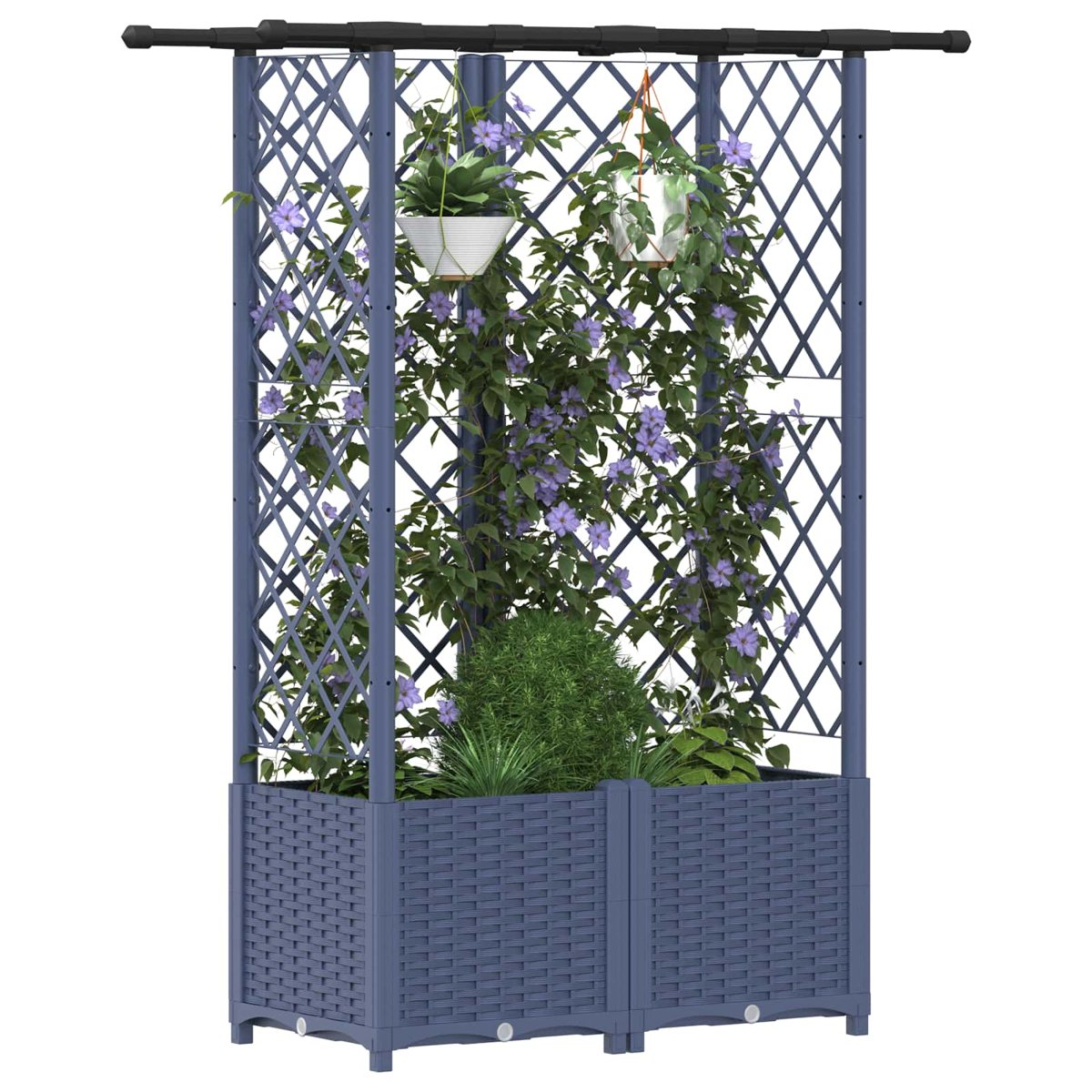 Ein blauer Rankkasten aus Rattanoptik mit integriertem Spalier und blühenden violetten Kletterpflanzen.