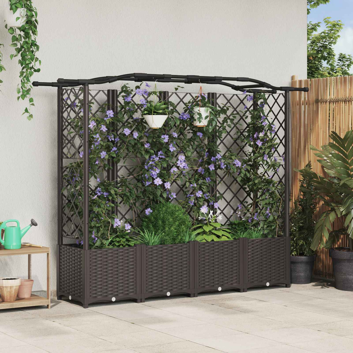 Ein dunkelbraunes Rankgitter mit kletternden lila Blumen steht draußen an einer weißen Wand.